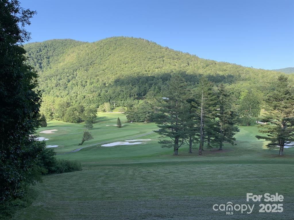 448 Mt. Mitchell Drive Property Photo 37