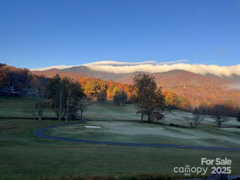 448 Mt. Mitchell Drive Property Photo 38