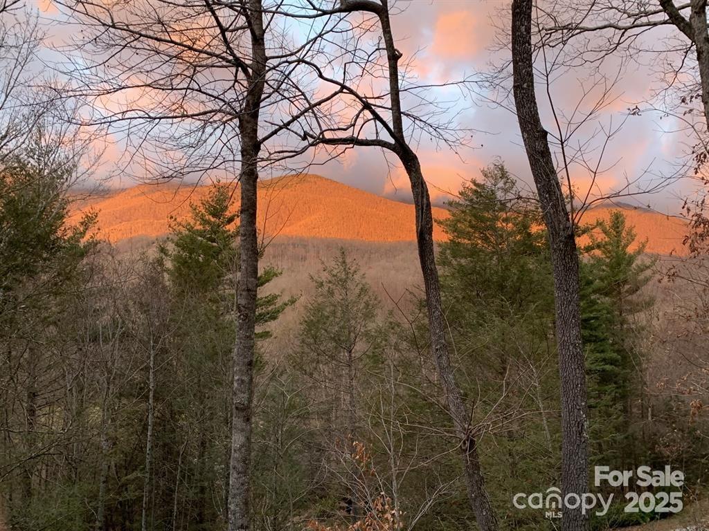 448 Mt. Mitchell Drive Property Photo 39