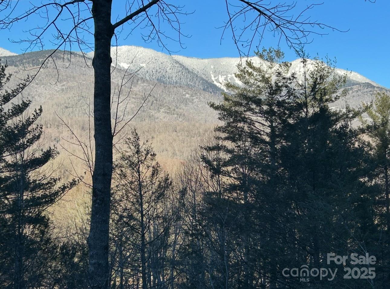 448 Mt. Mitchell Drive Property Photo 40