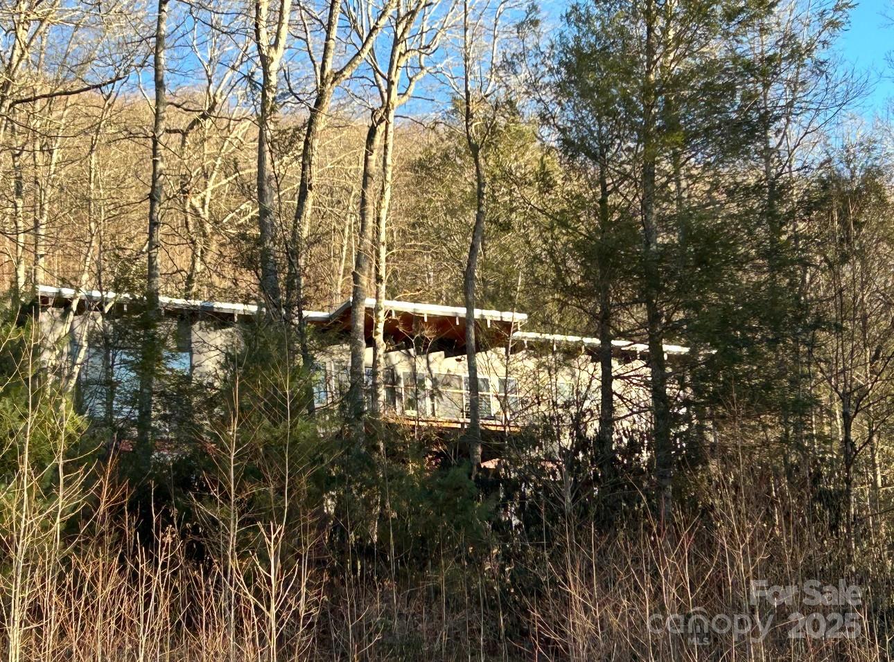 448 Mt. Mitchell Drive Property Photo 41