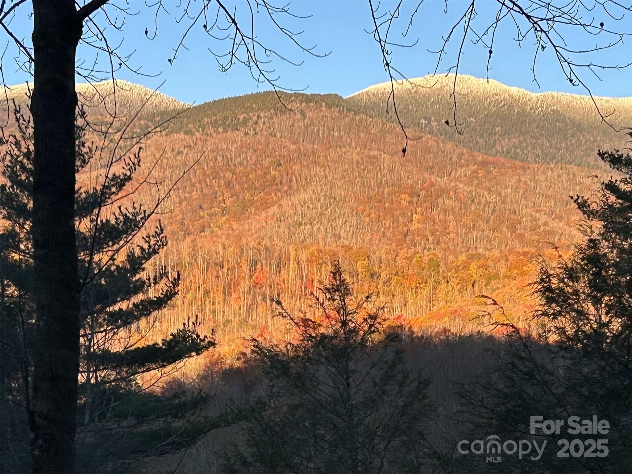 448 Mt. Mitchell Drive Property Photo 42