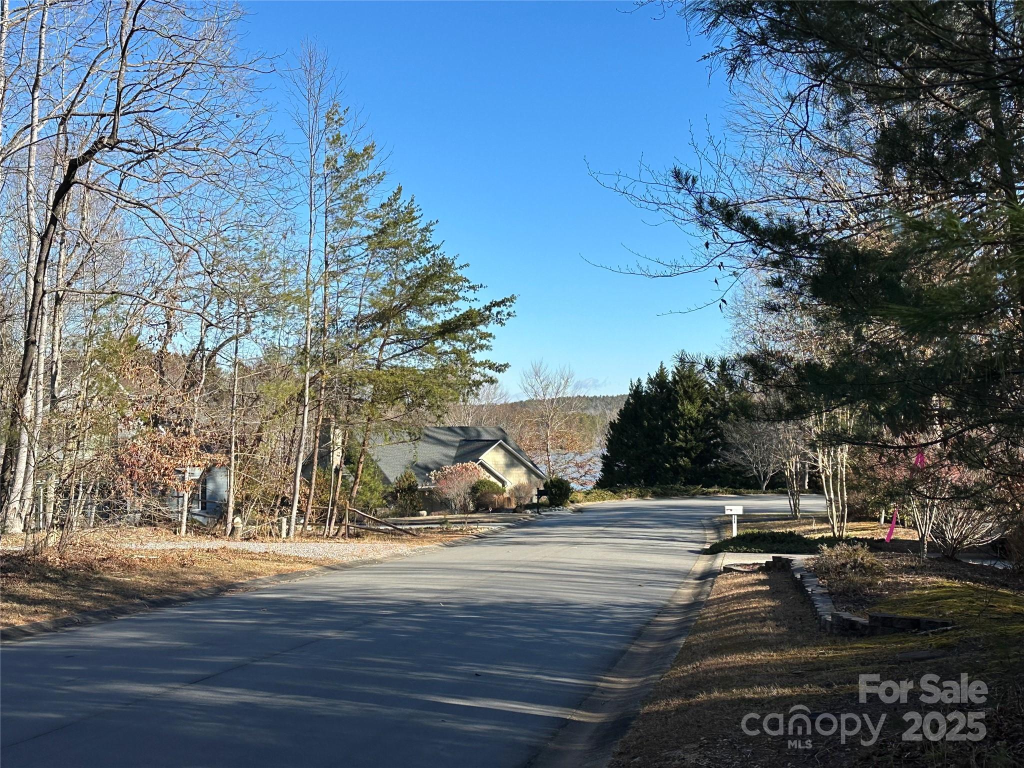 178 Lentz Landing Lane Property Photo 2