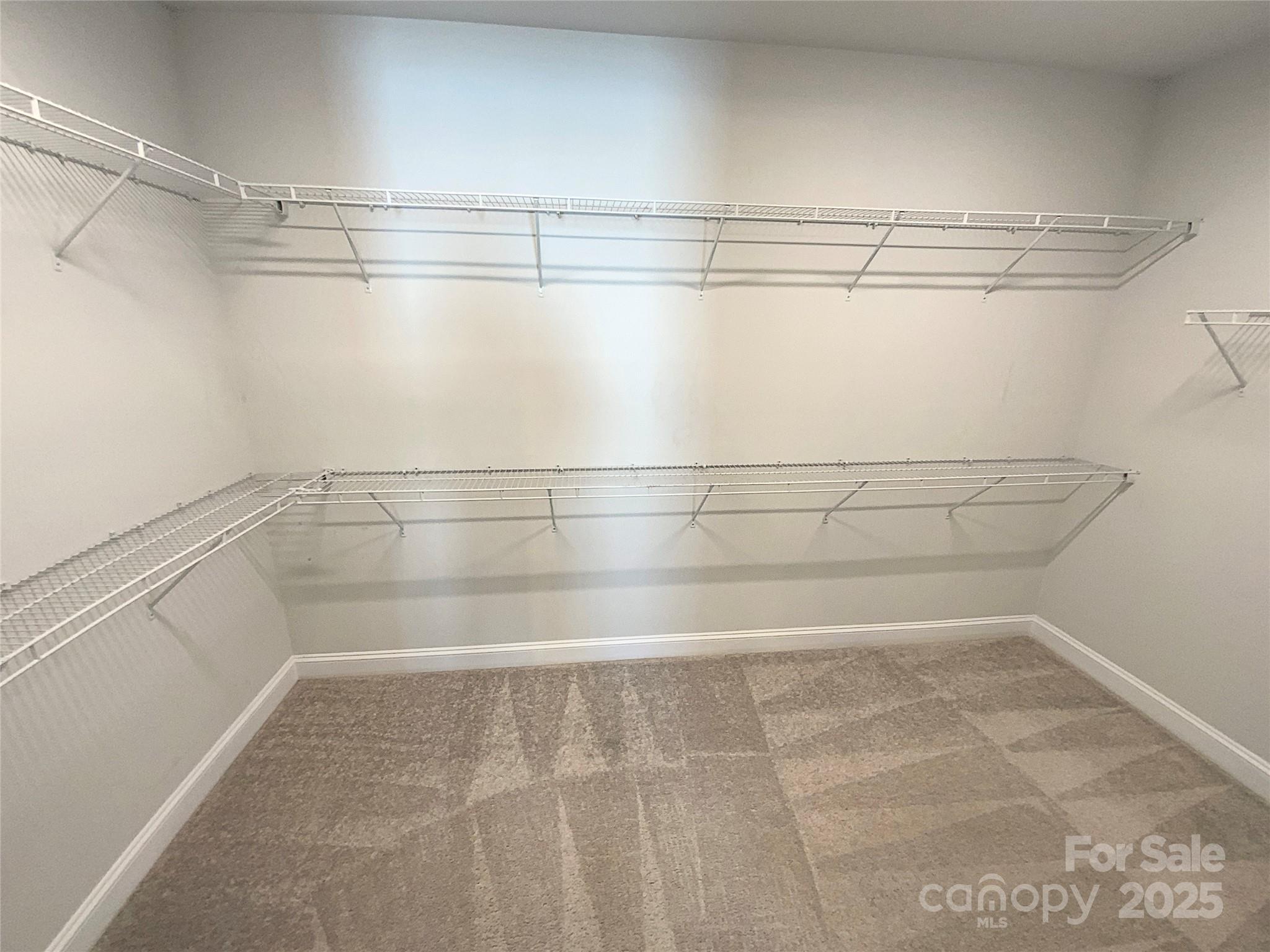 11005 Cobb Creek Court Property Photo 14