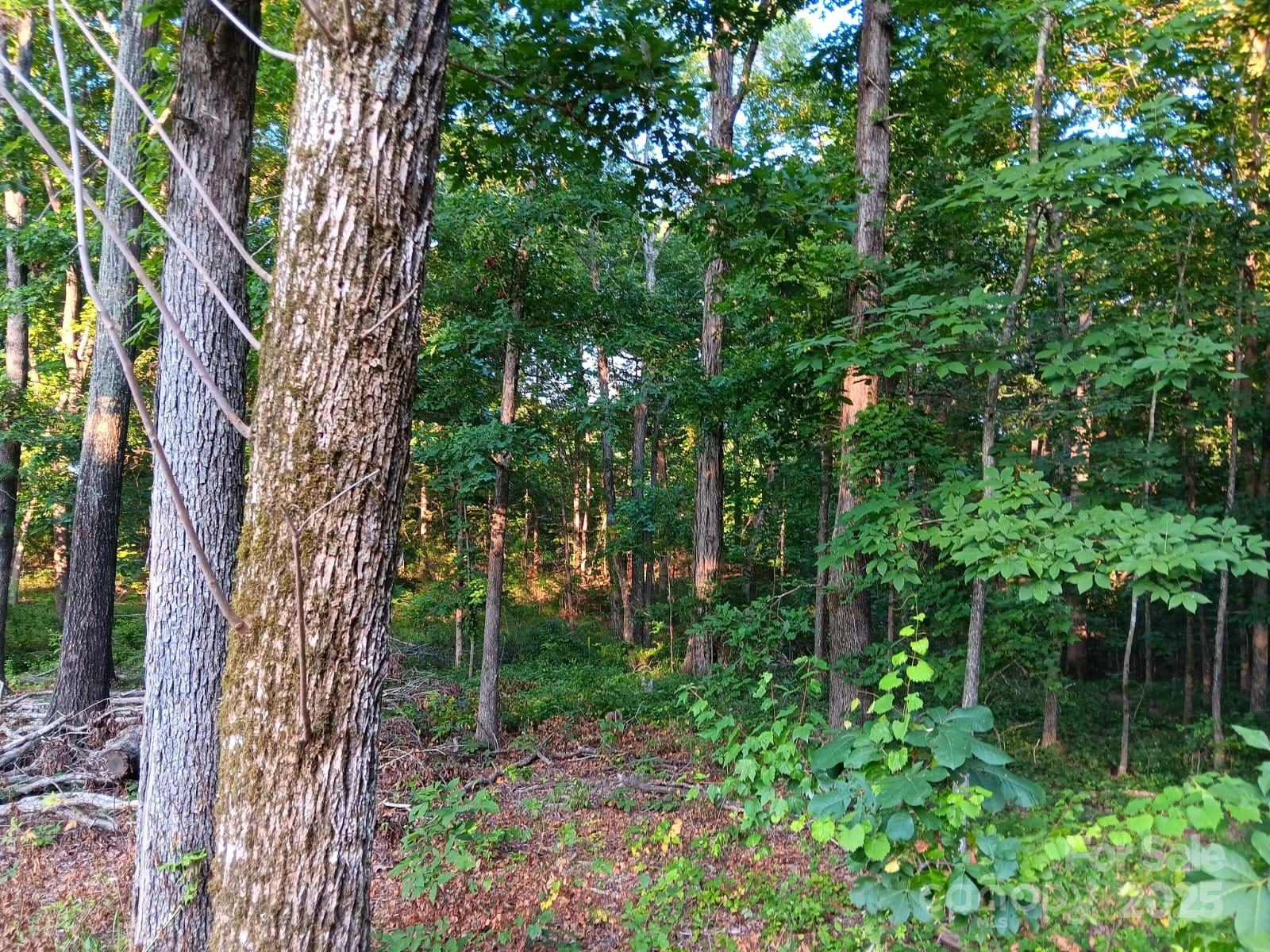 11610 Brief Road 2 Property Photo 12