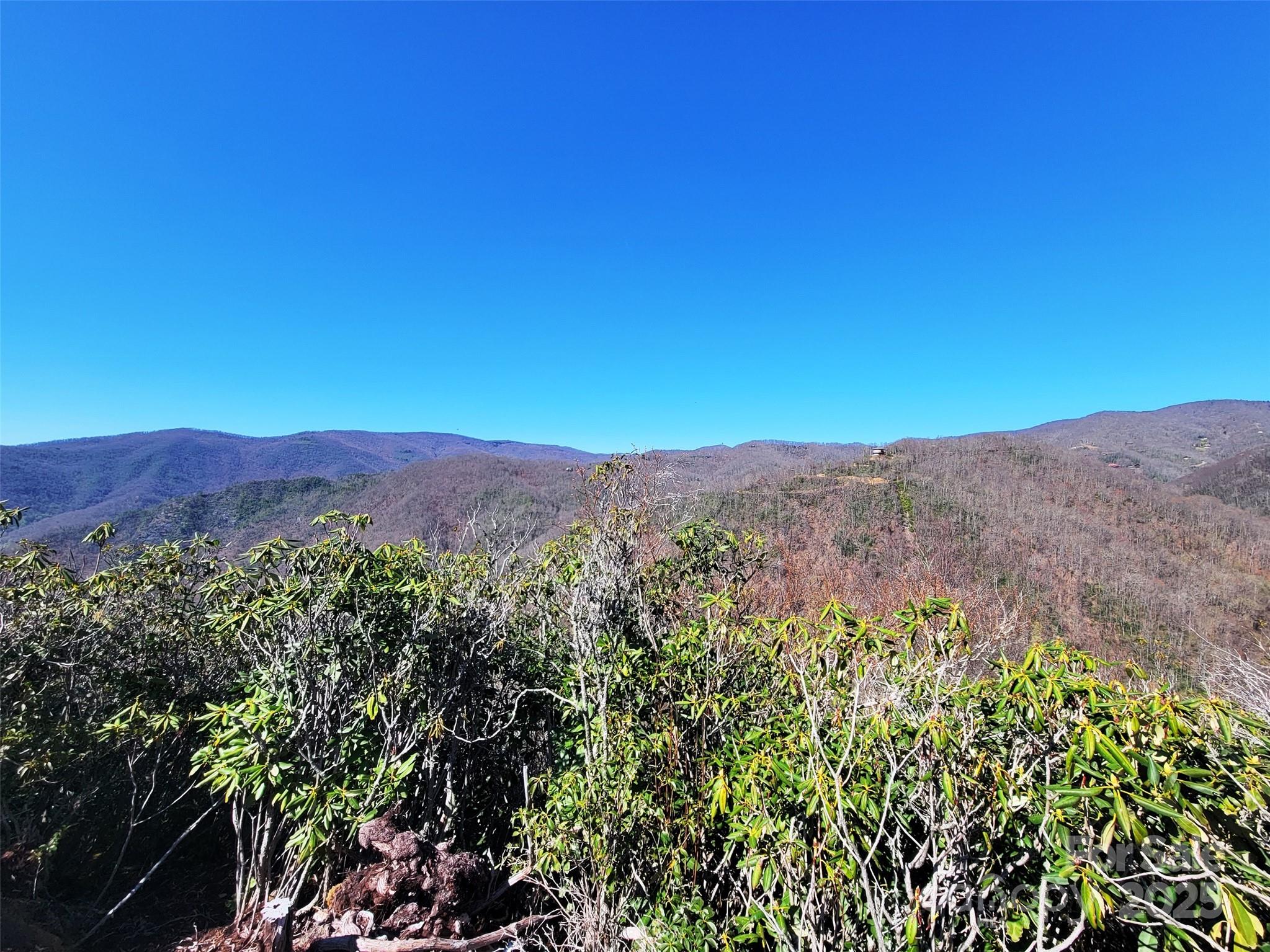 Black Rock Creek Real Estate Listings Main Image