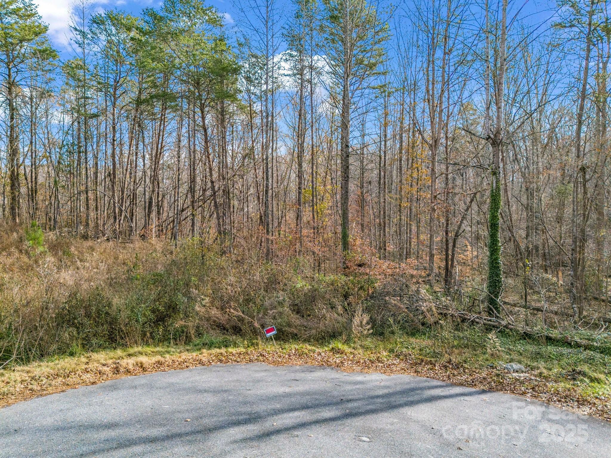 0 Pinecrest Drive Property Photo 3