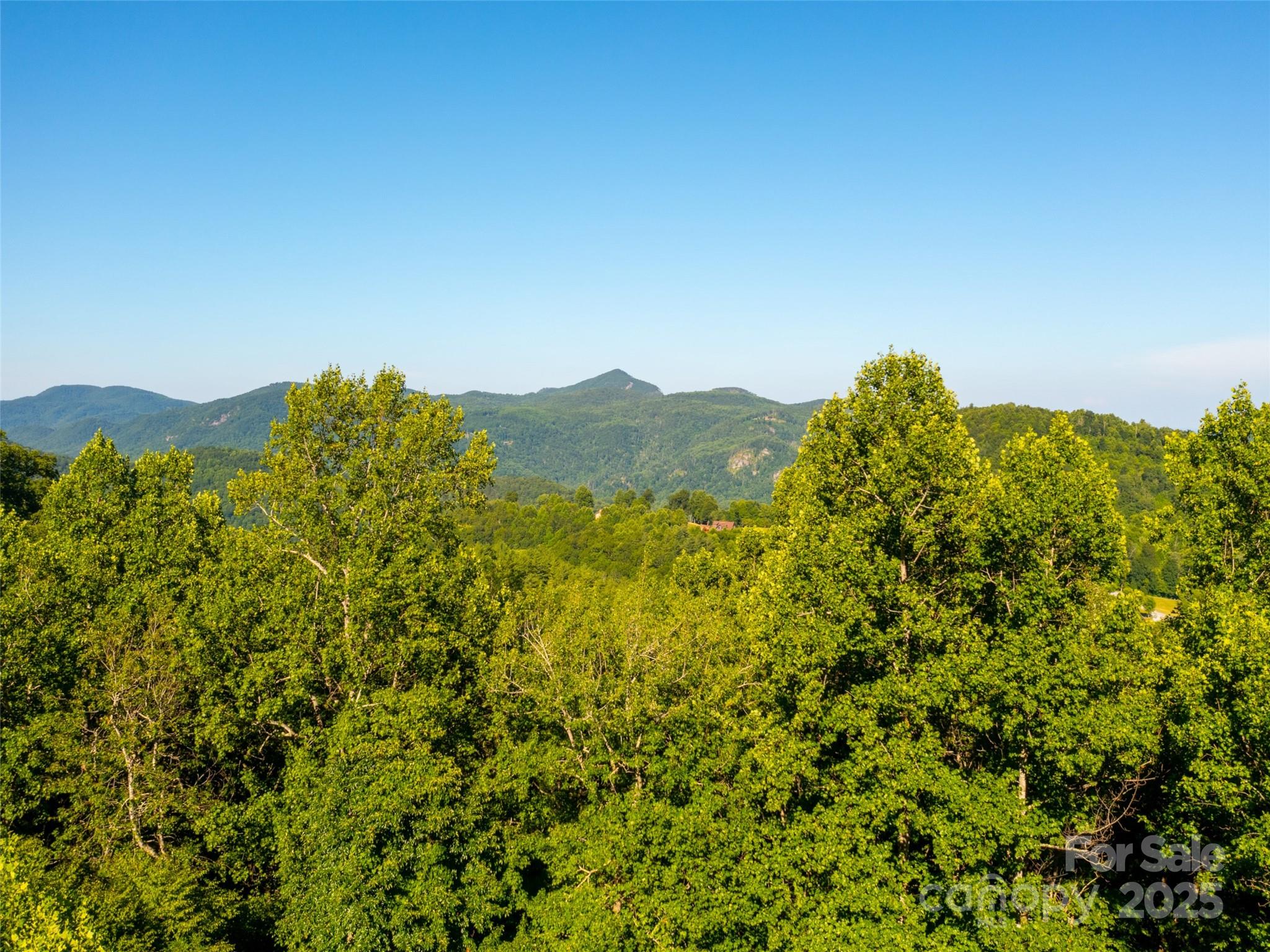 811 Grand Oaks Drive Property Photo 2
