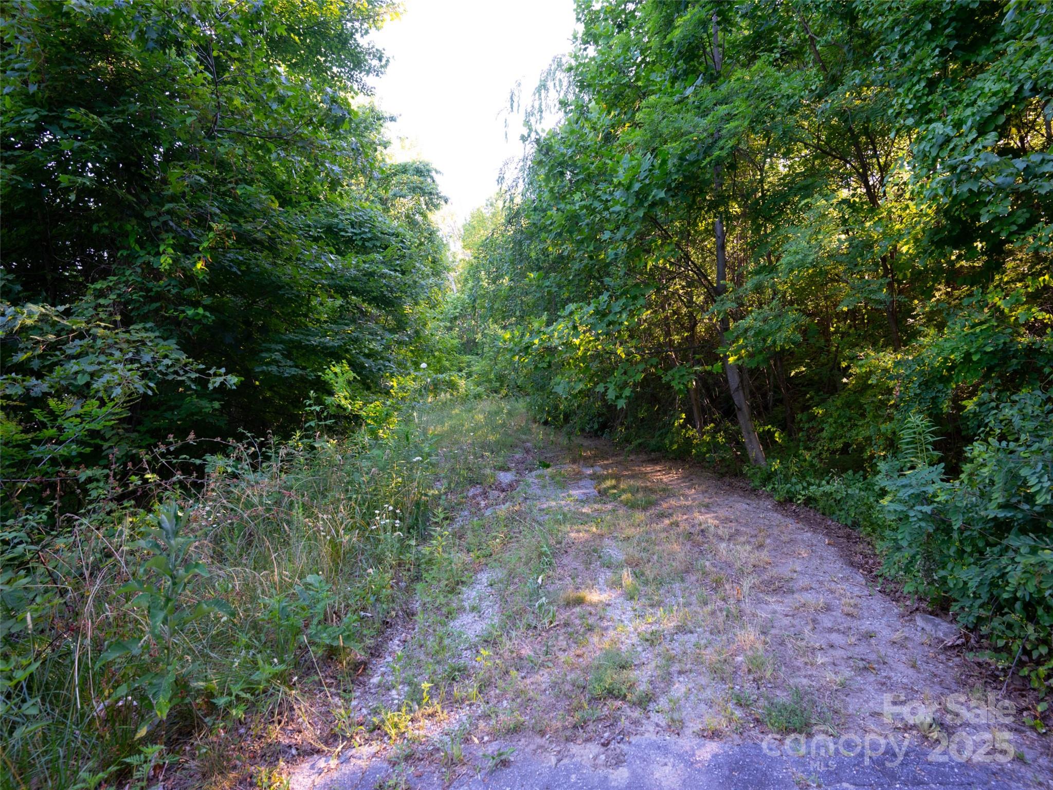 811 Grand Oaks Drive Property Photo 8