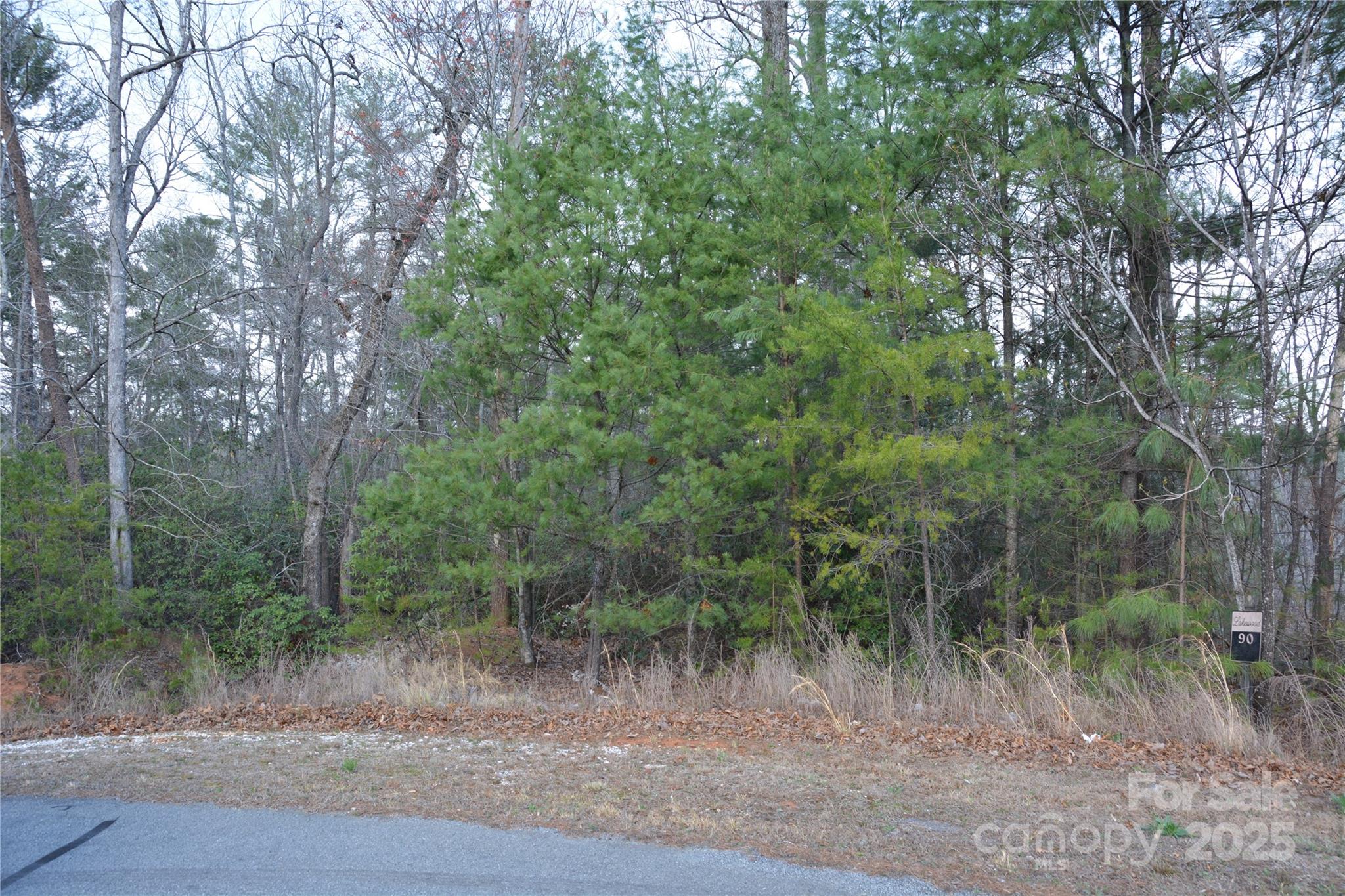118 Crestline Drive 90 Property Photo 3