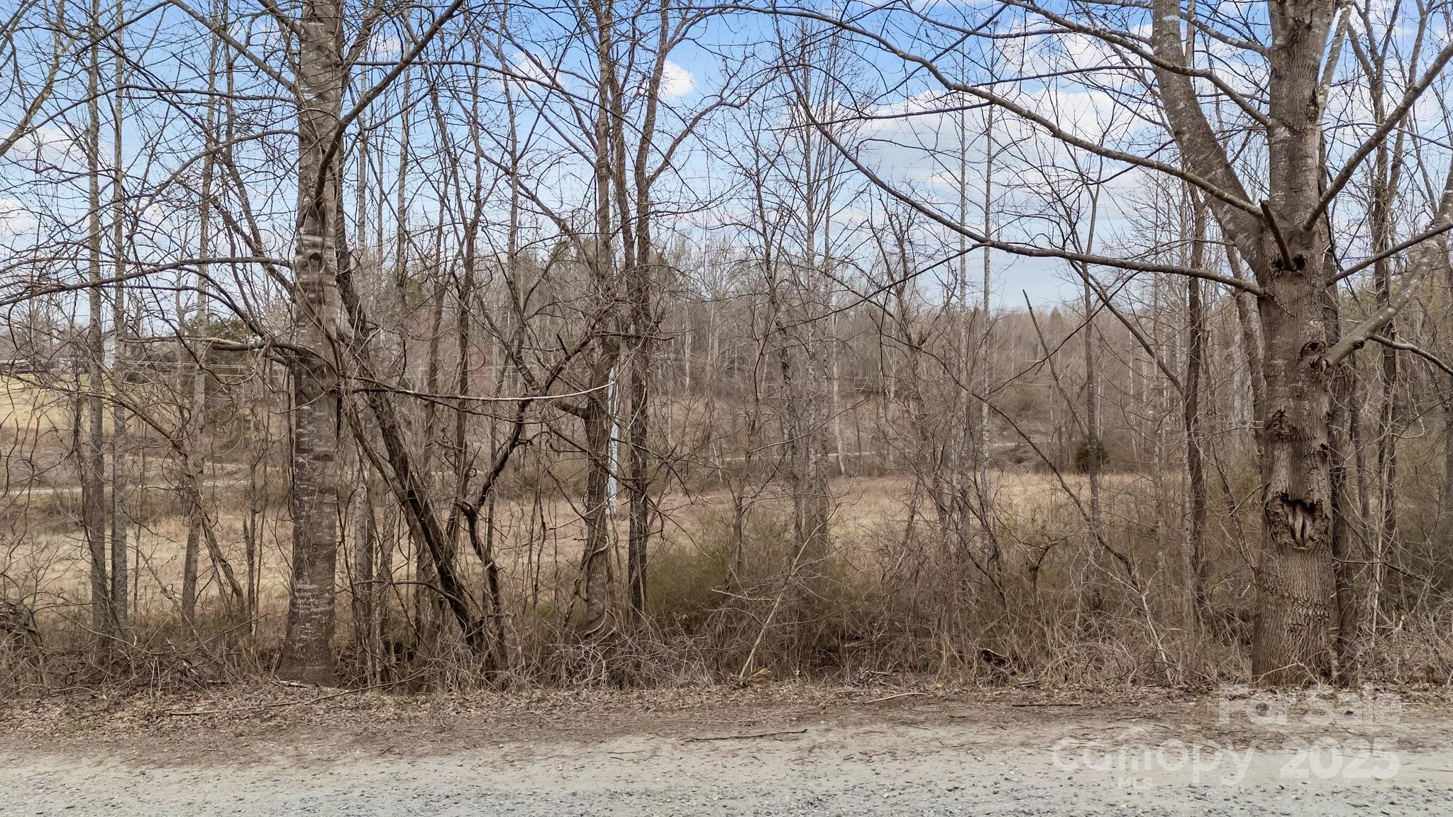 Lot 101 Glenhaven Drive Property Photo 4