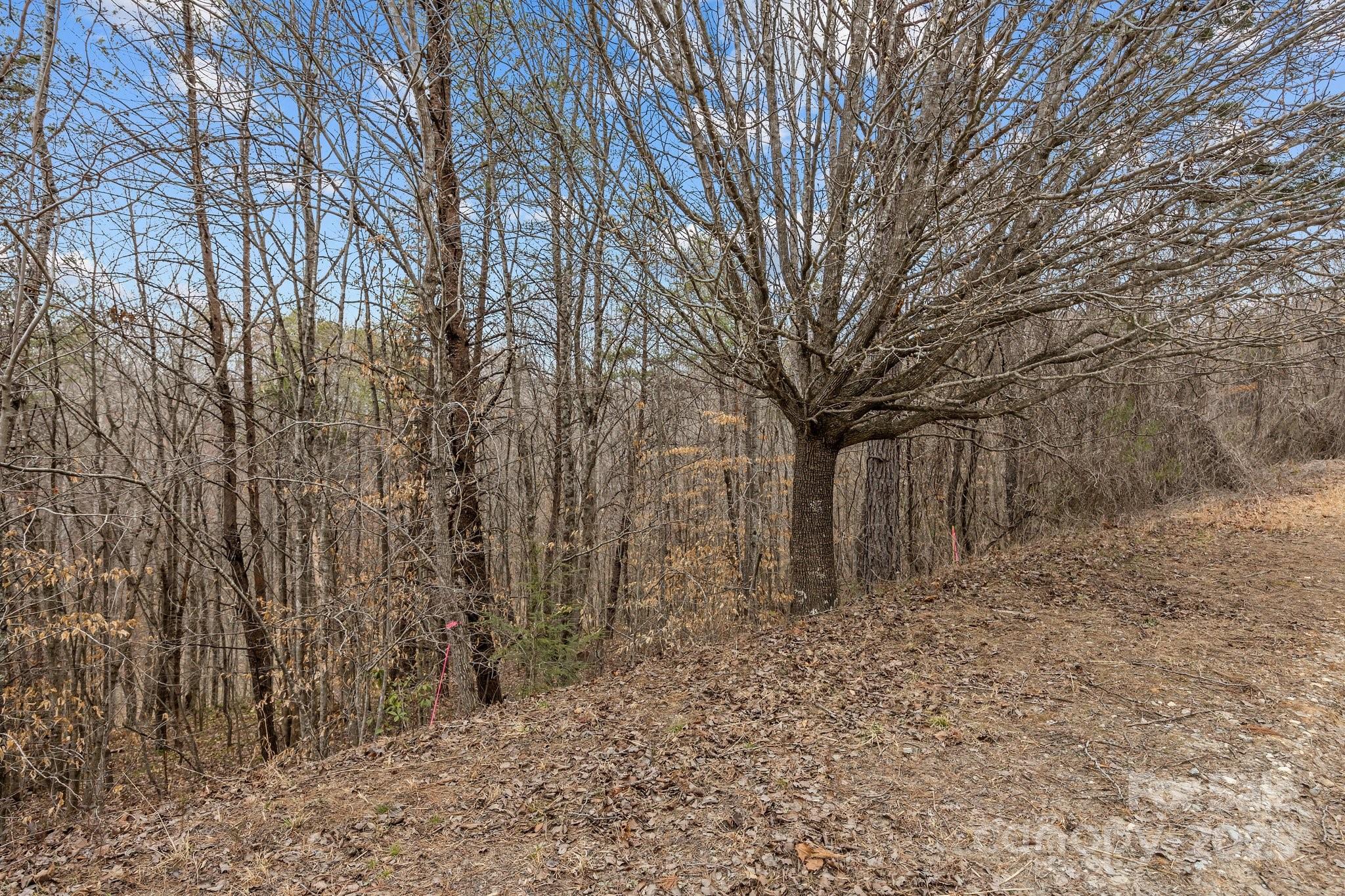 Lot 102 Glenhaven Drive Property Photo 3