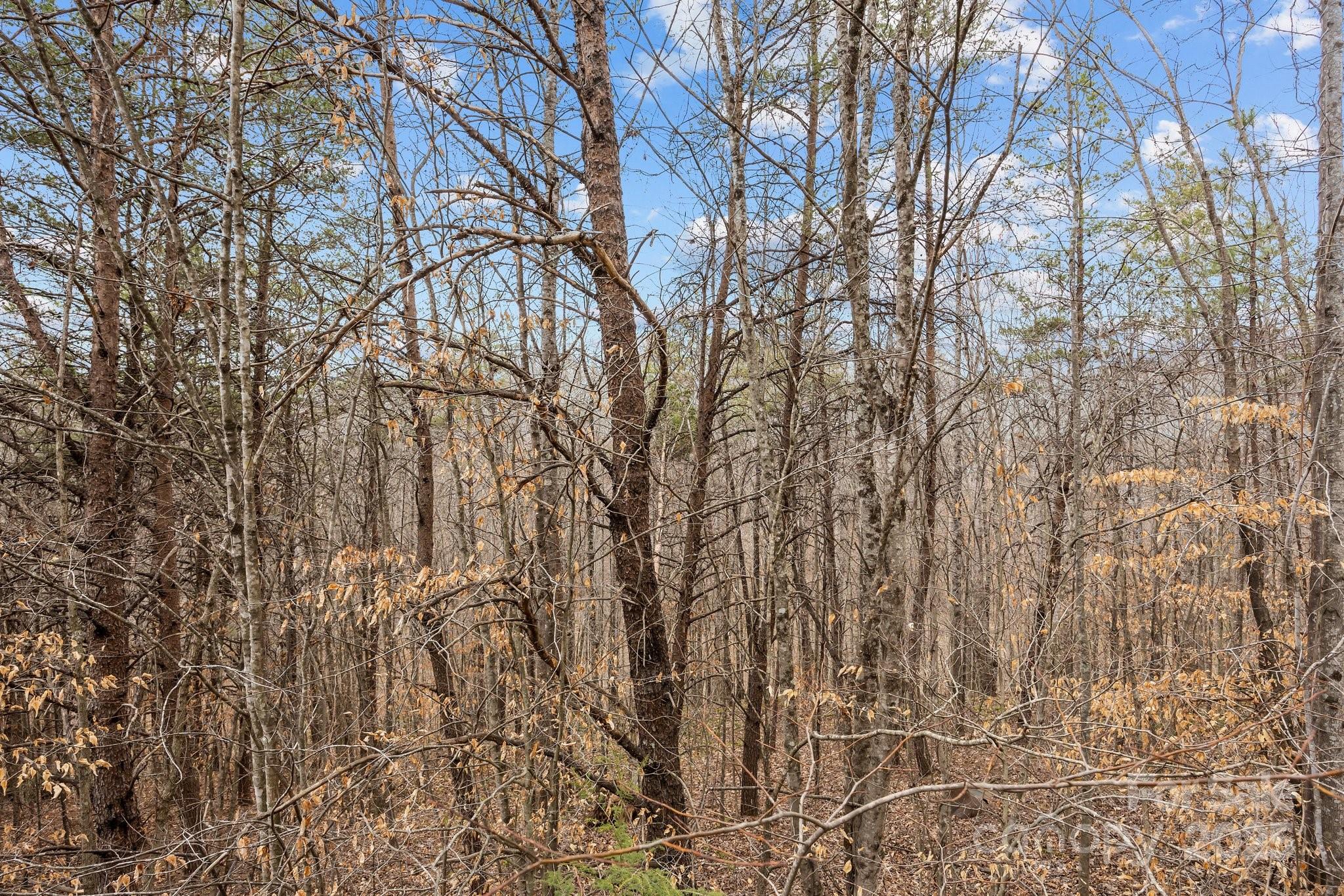 Lot 102 Glenhaven Drive Property Photo 4