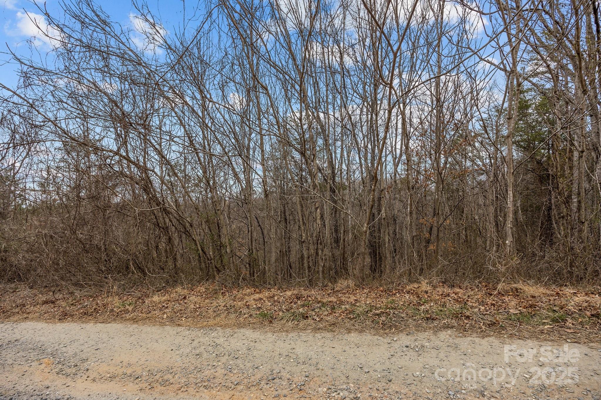 Lot 103 Glenhaven Drive Property Photo 3