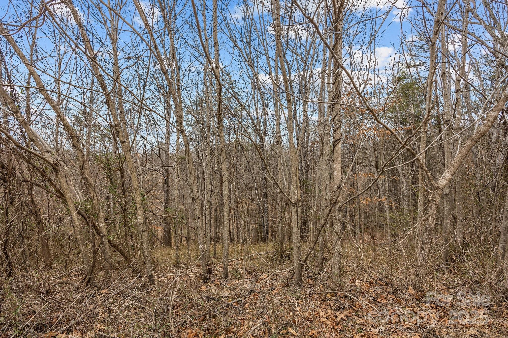 Lot 103 Glenhaven Drive Property Photo 4