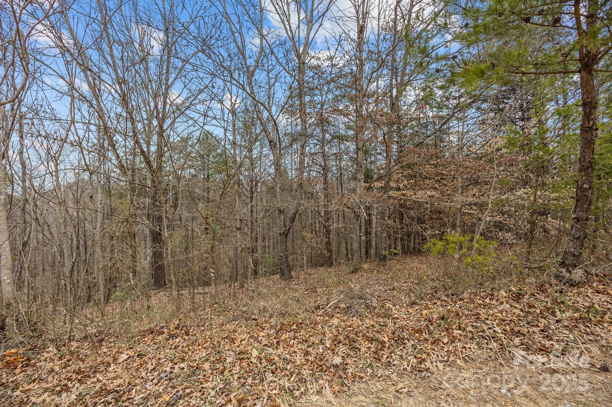 Lot 104 Glenhaven Drive Property Photo 4