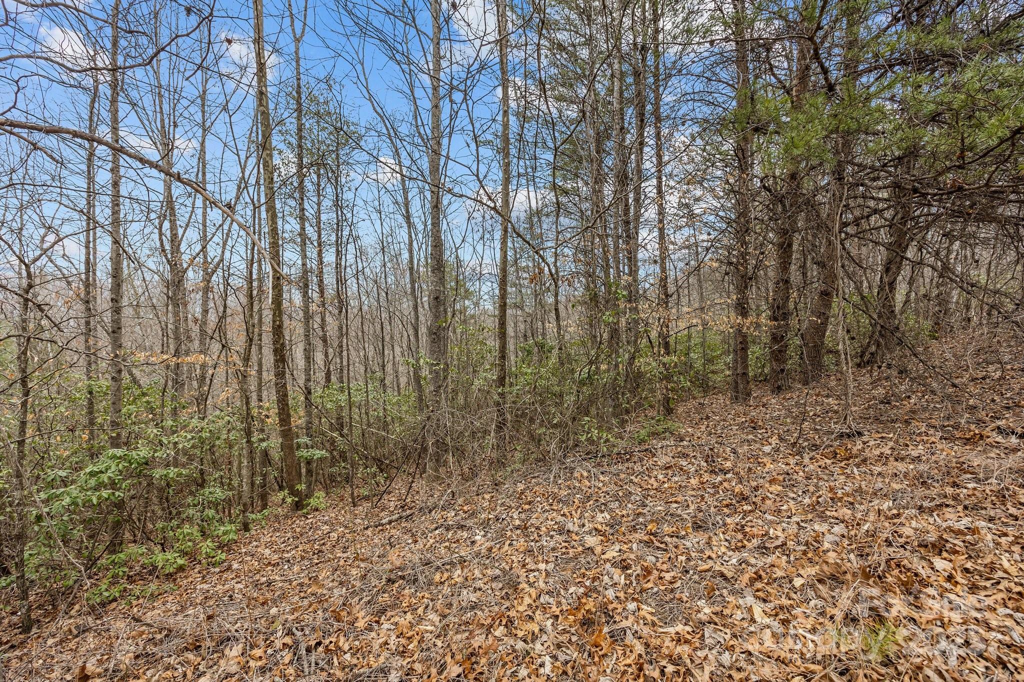 Lot 106 Glenhaven Drive Property Photo 4