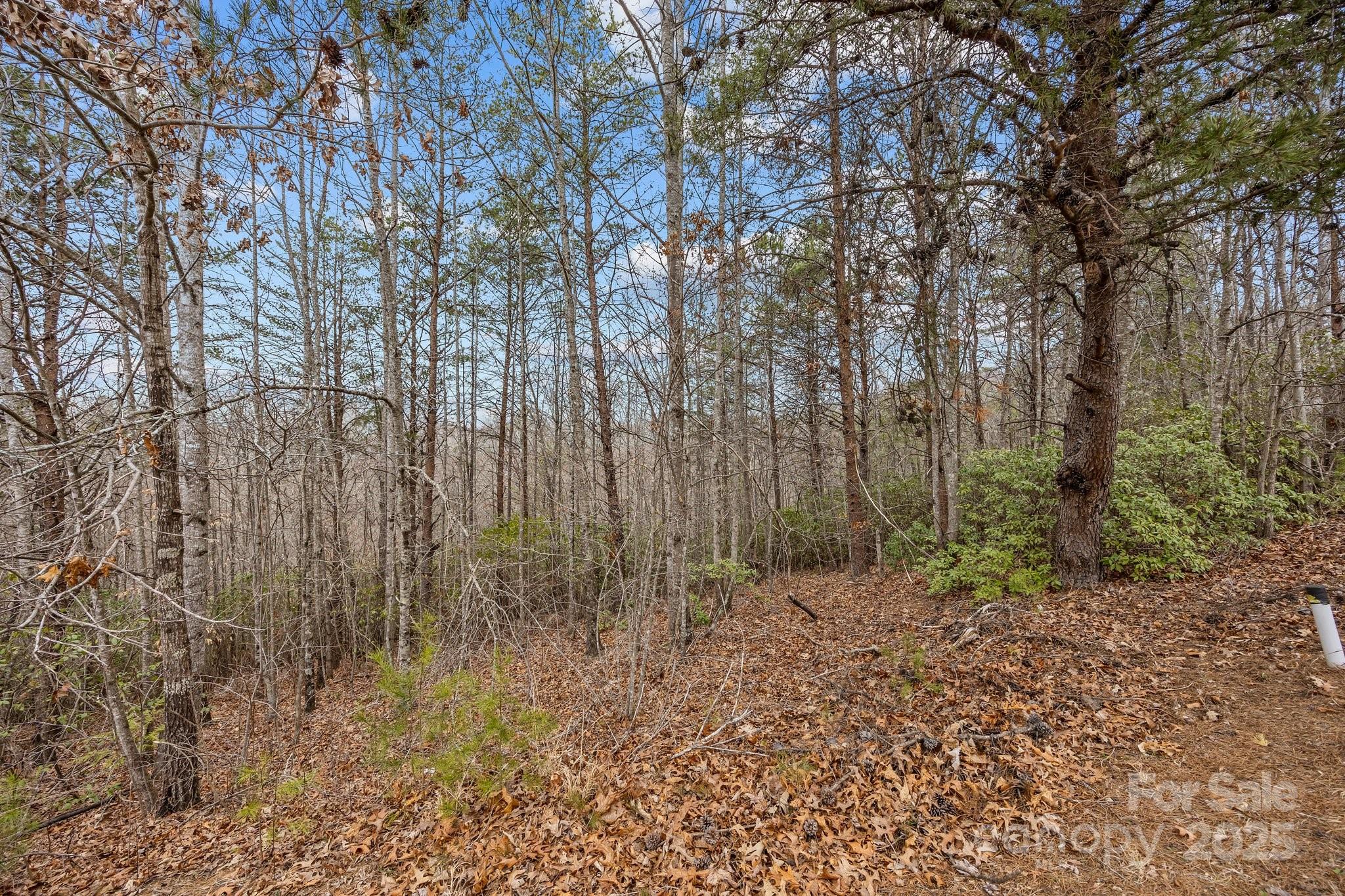 Lot 107 Glenhaven Drive Property Photo 3