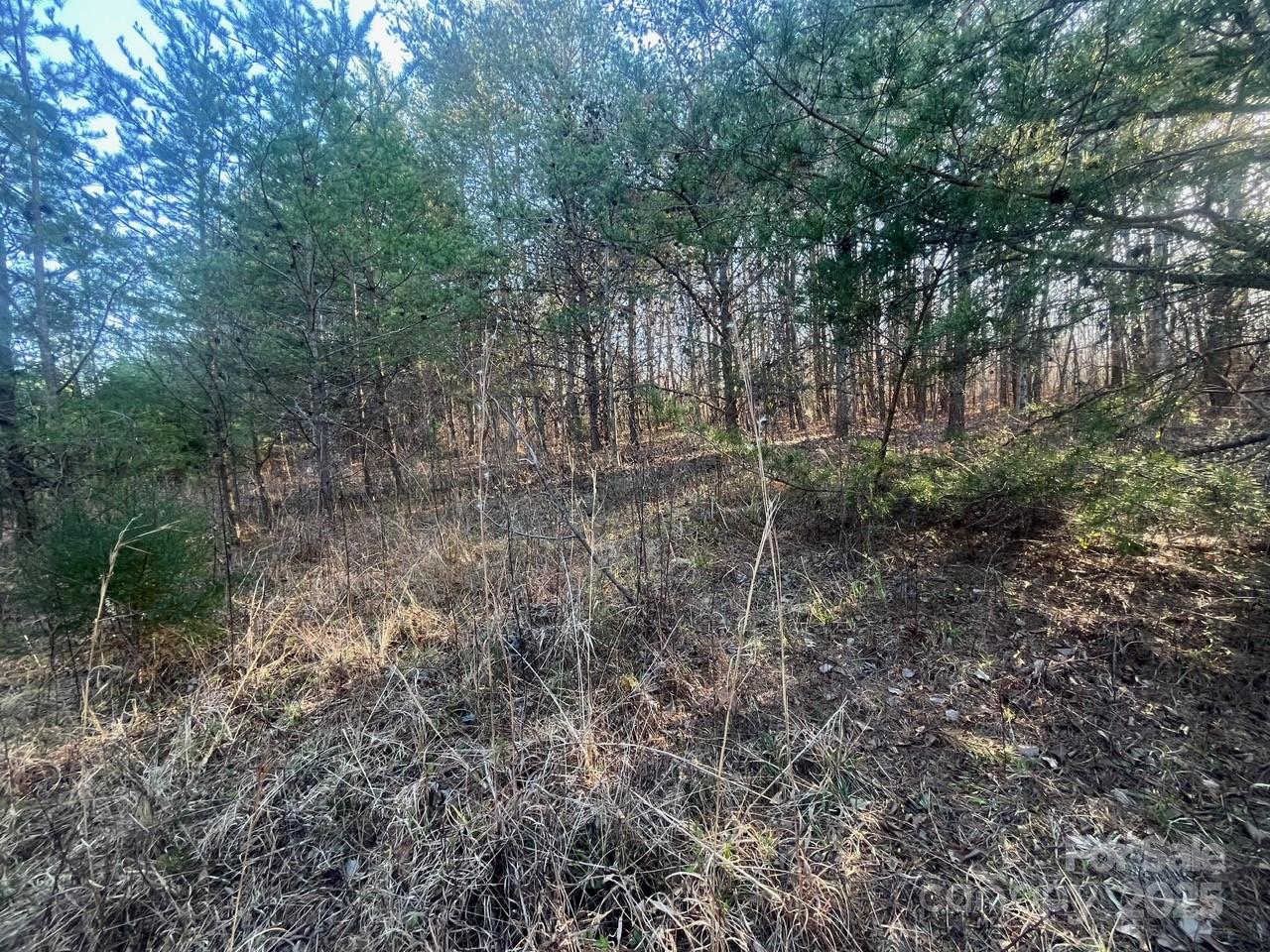 V/l Pinnacle Church Road Property Photo 10