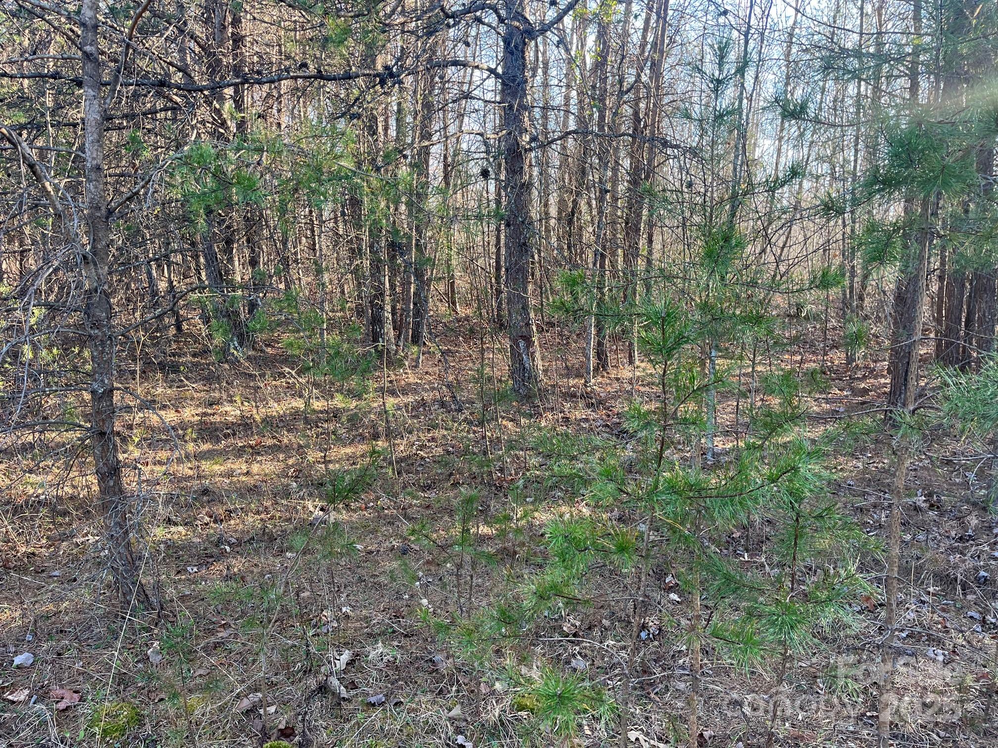 V/l Pinnacle Church Road Property Photo 25