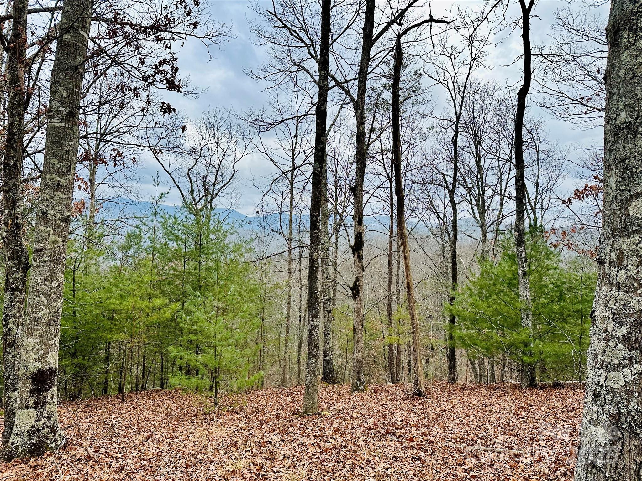 275 Raccoon Run 24 Property Photo