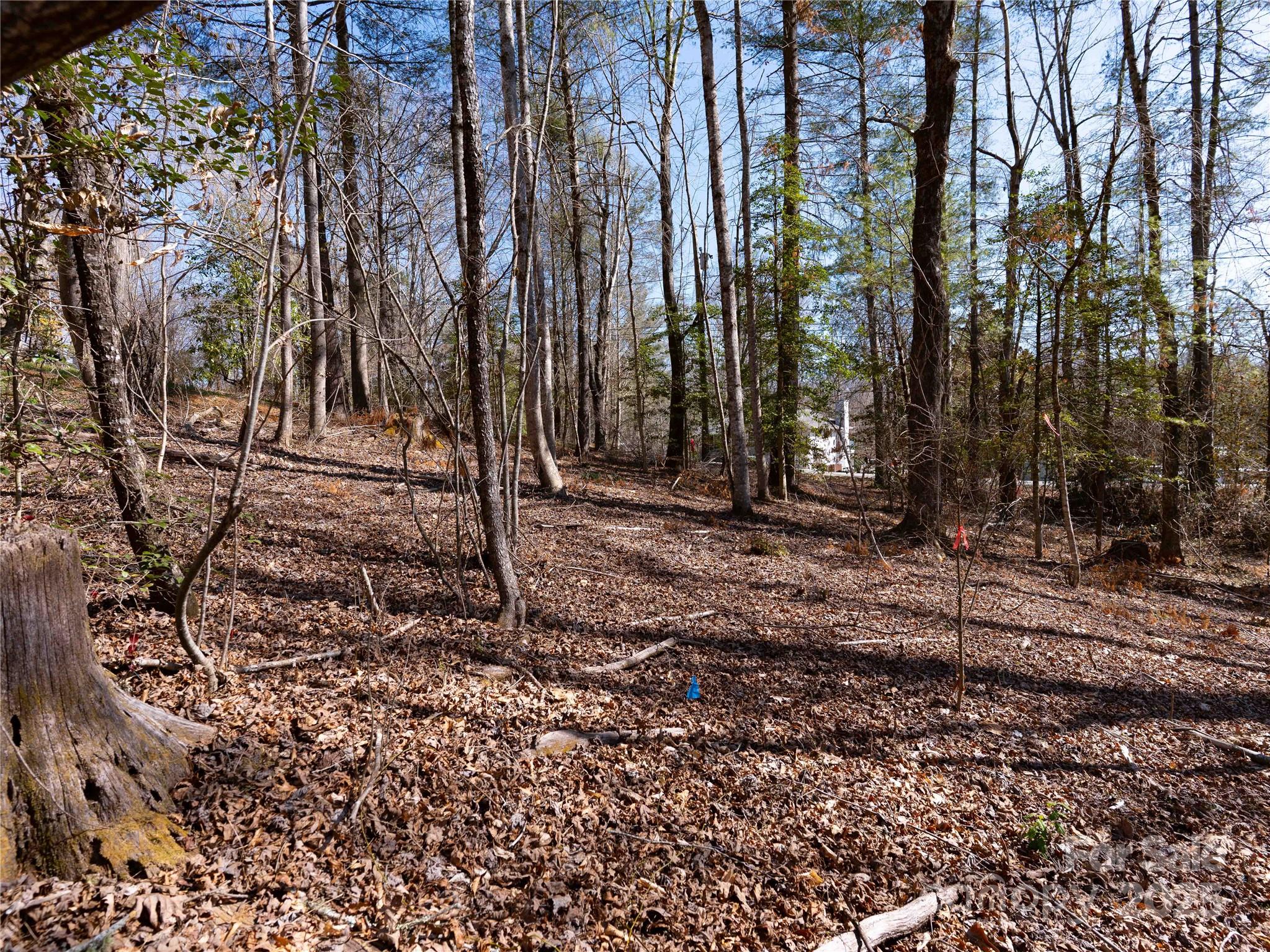 00 Whispering Pines Drive Property Photo