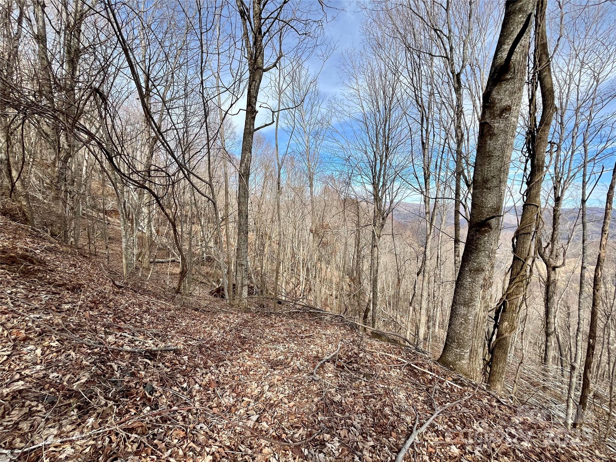 Tbd Tyler Lane Property Photo 8