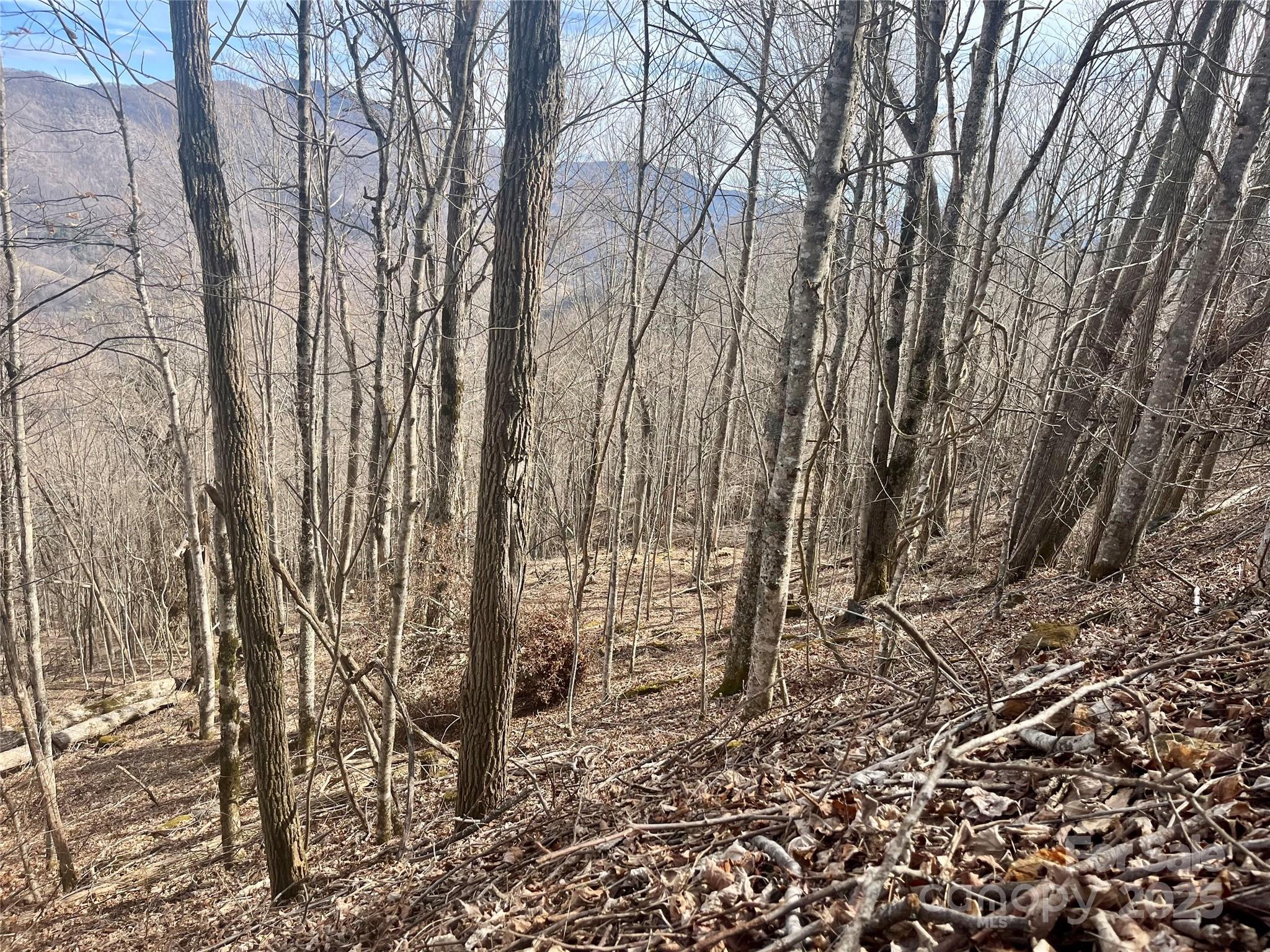 Tbd Tyler Lane Property Photo 10