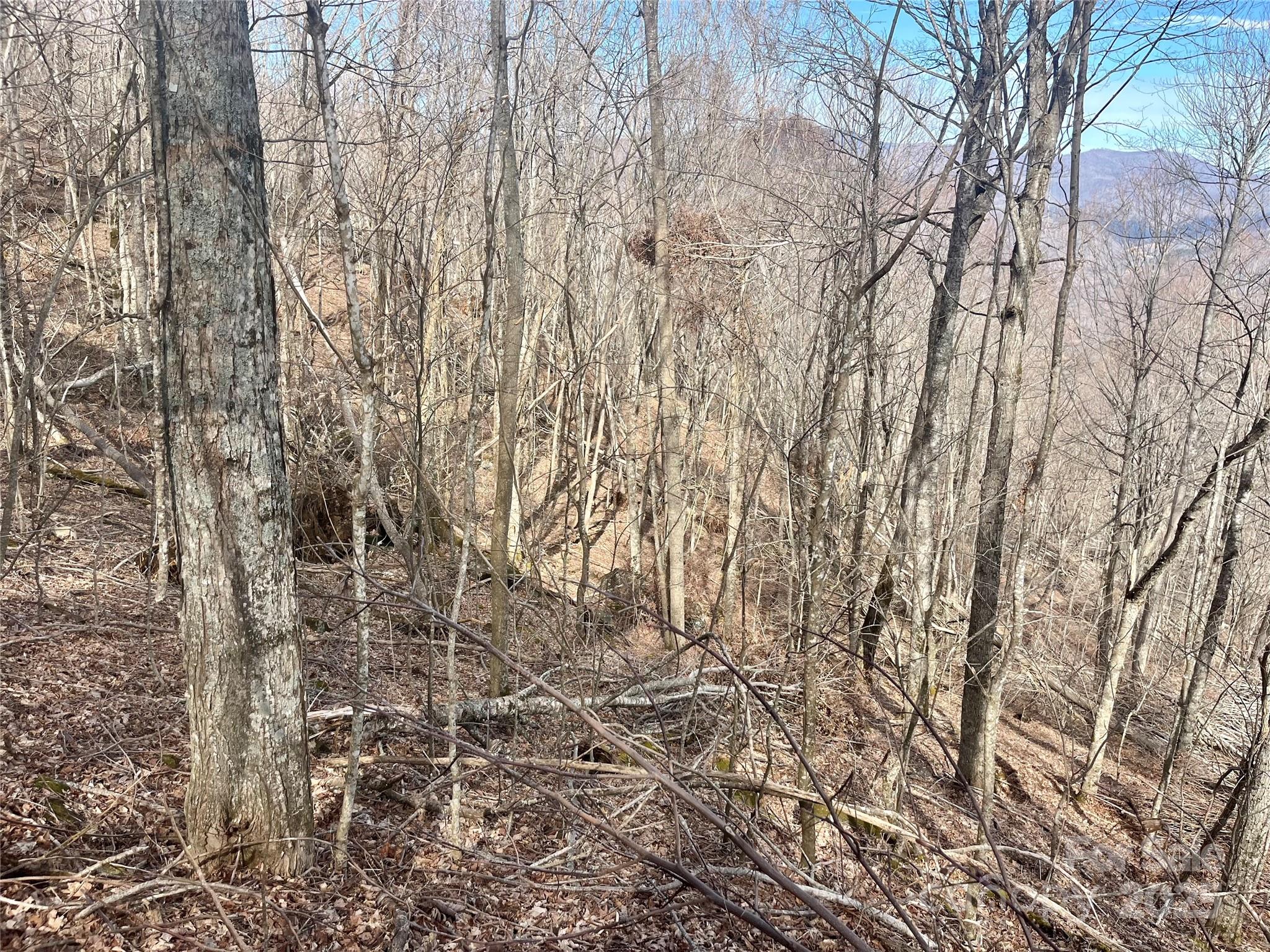 Tbd Tyler Lane Property Photo 11