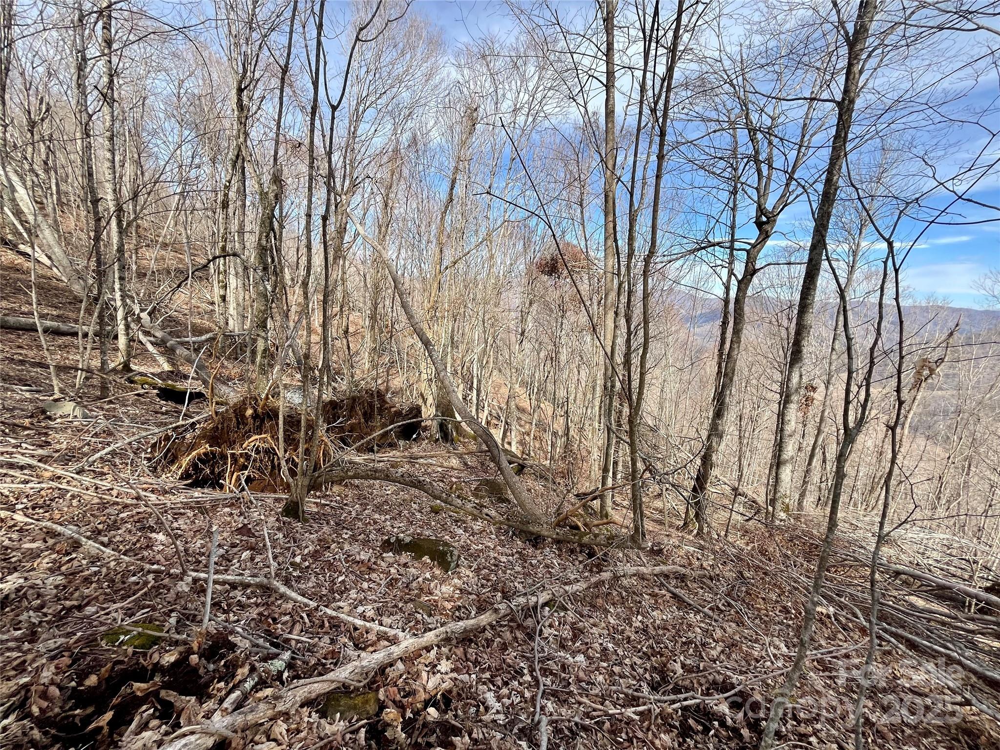 Tbd Tyler Lane Property Photo 12