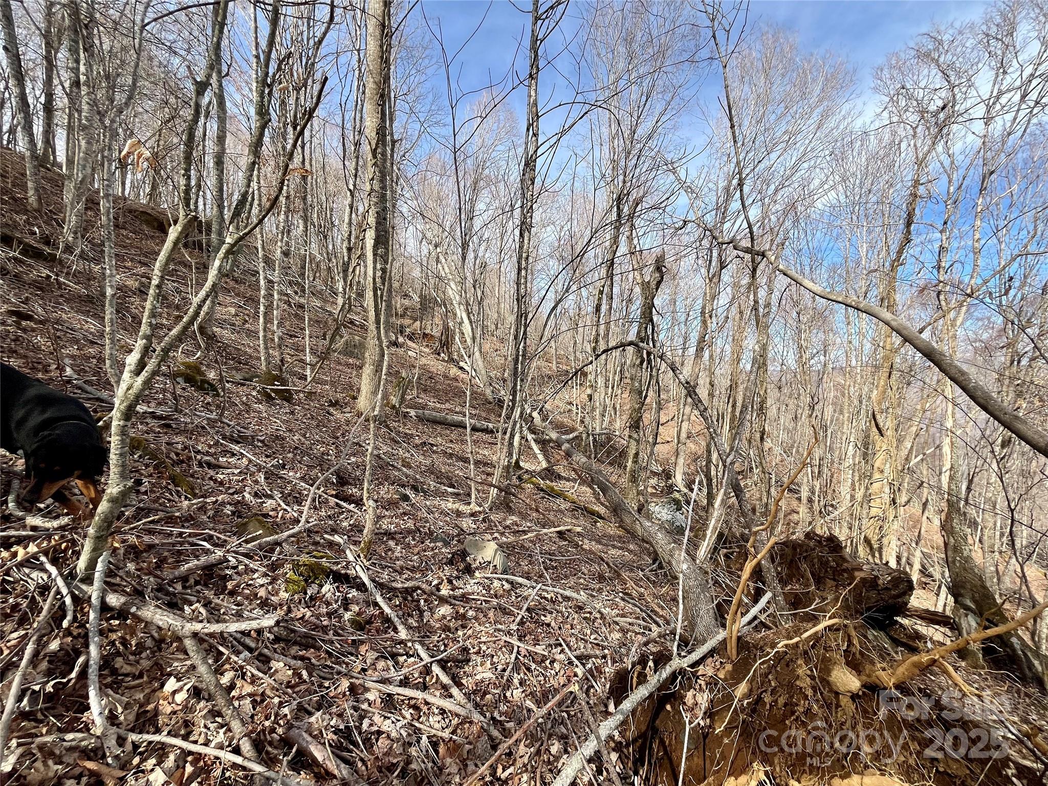 Tbd Tyler Lane Property Photo 13