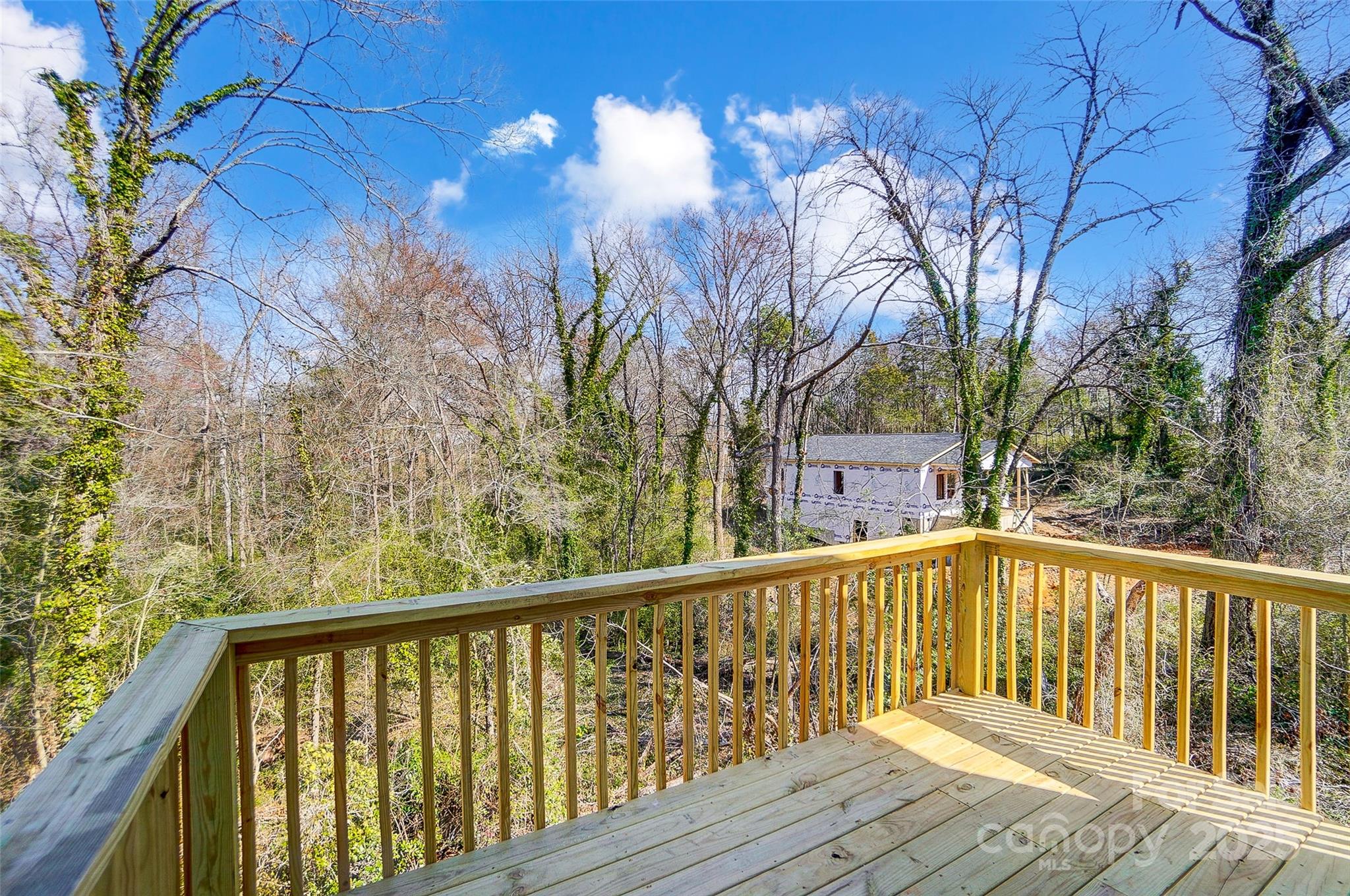 66 Reed Street Property Photo 33
