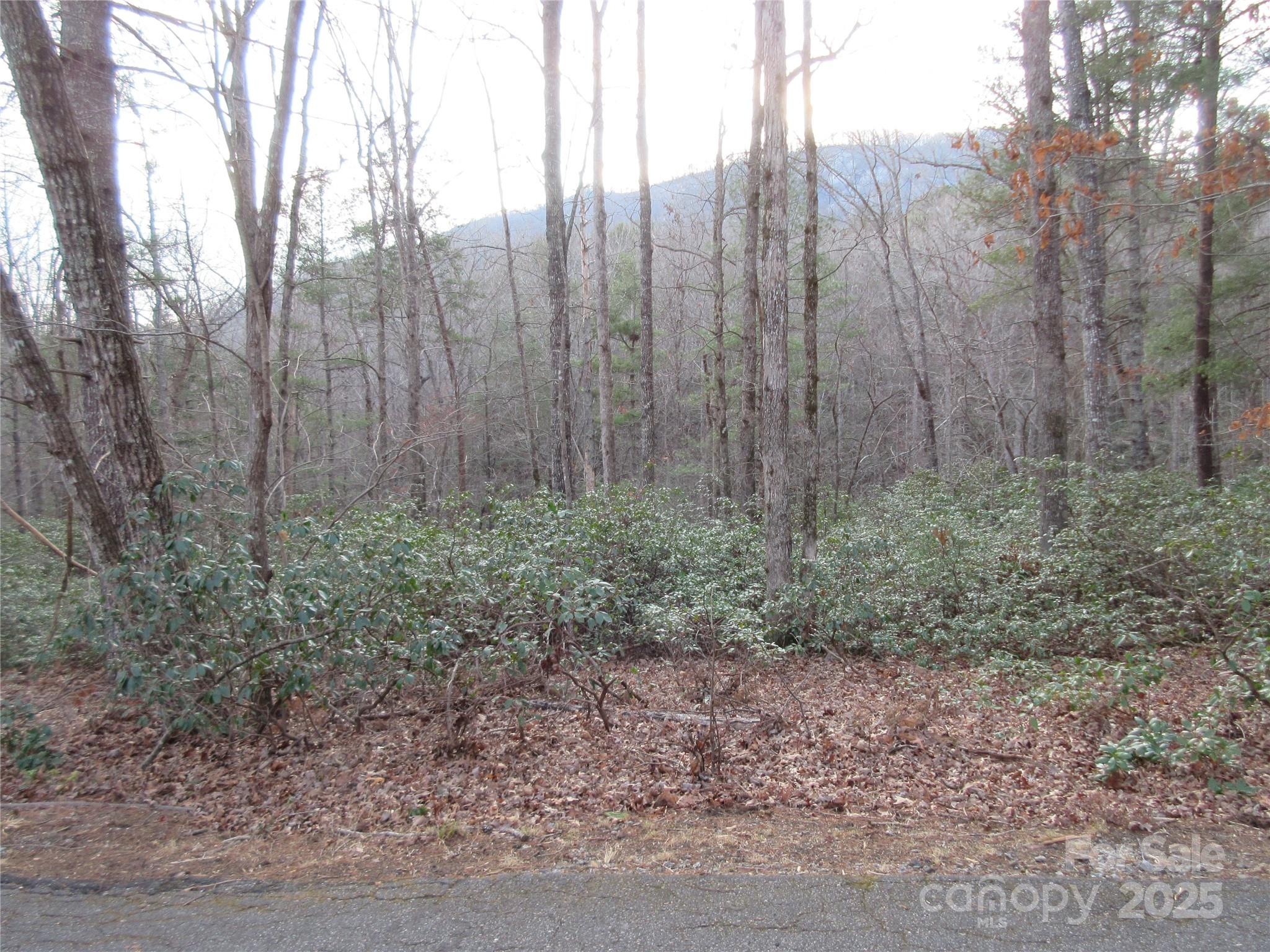 Lot 50 Huntington Road Property Photo
