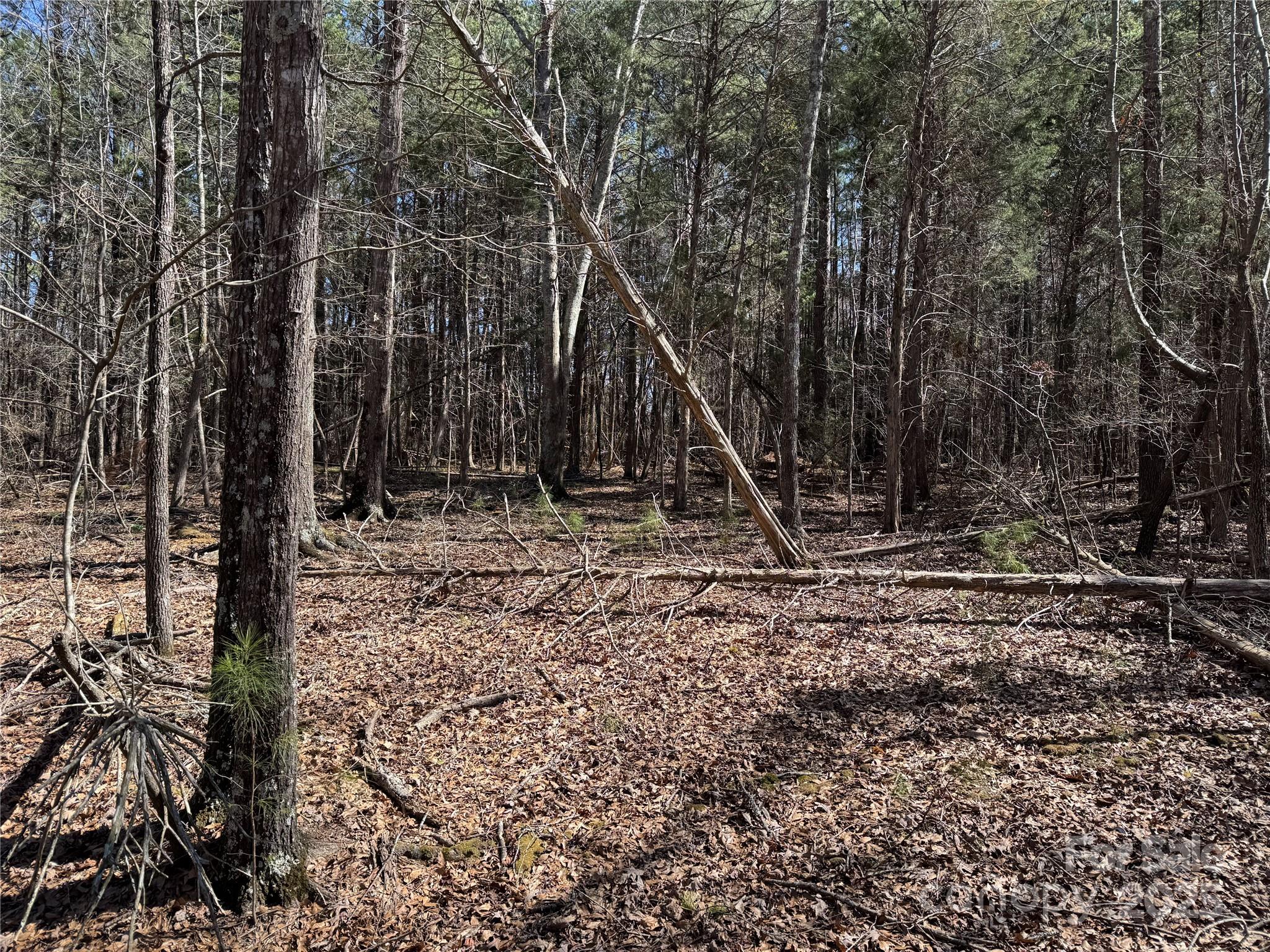 1905 Bechtler Road Property Photo 2
