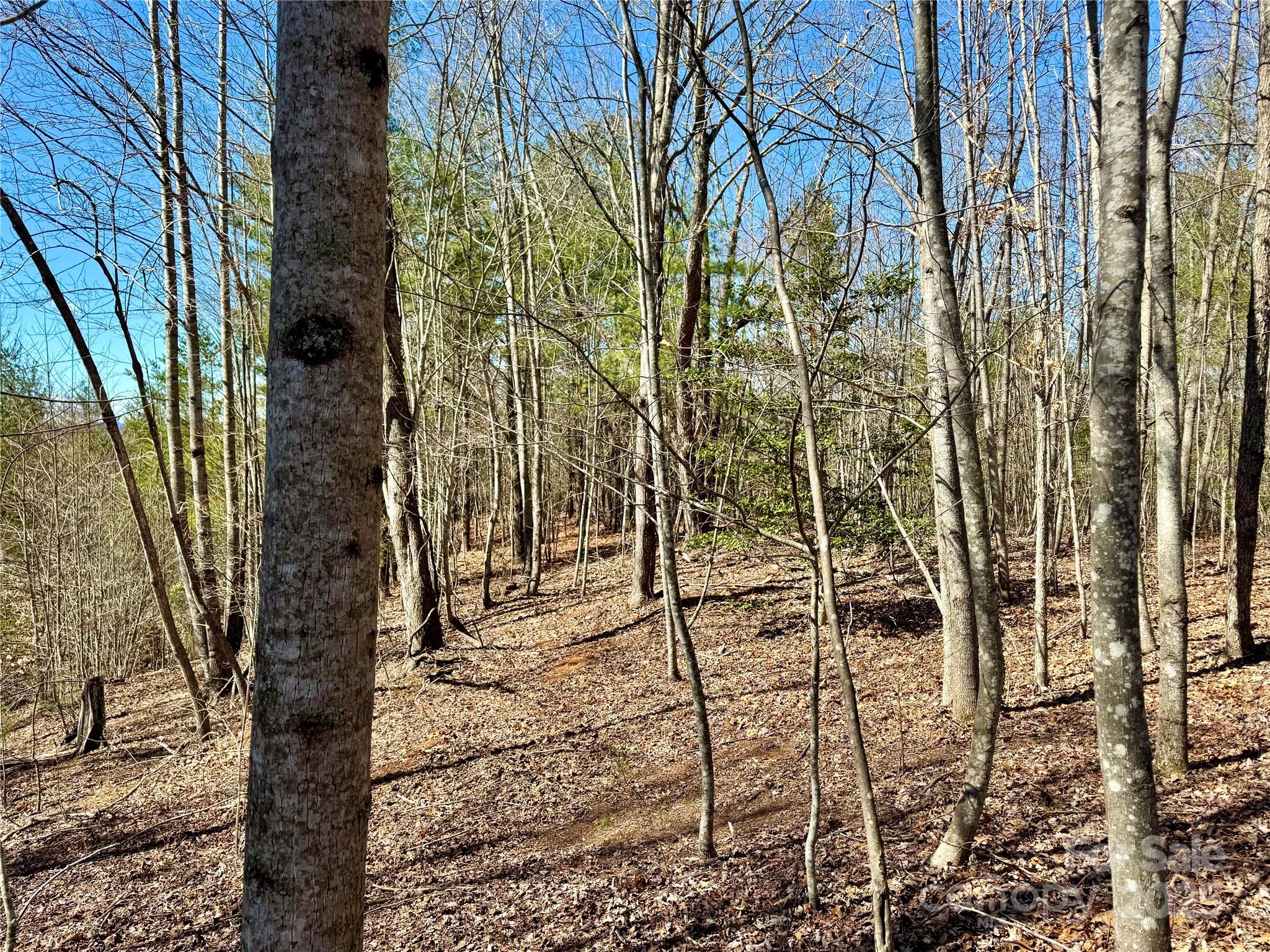 Lot 837 High Valley Way Lot 837 Property Photo 3