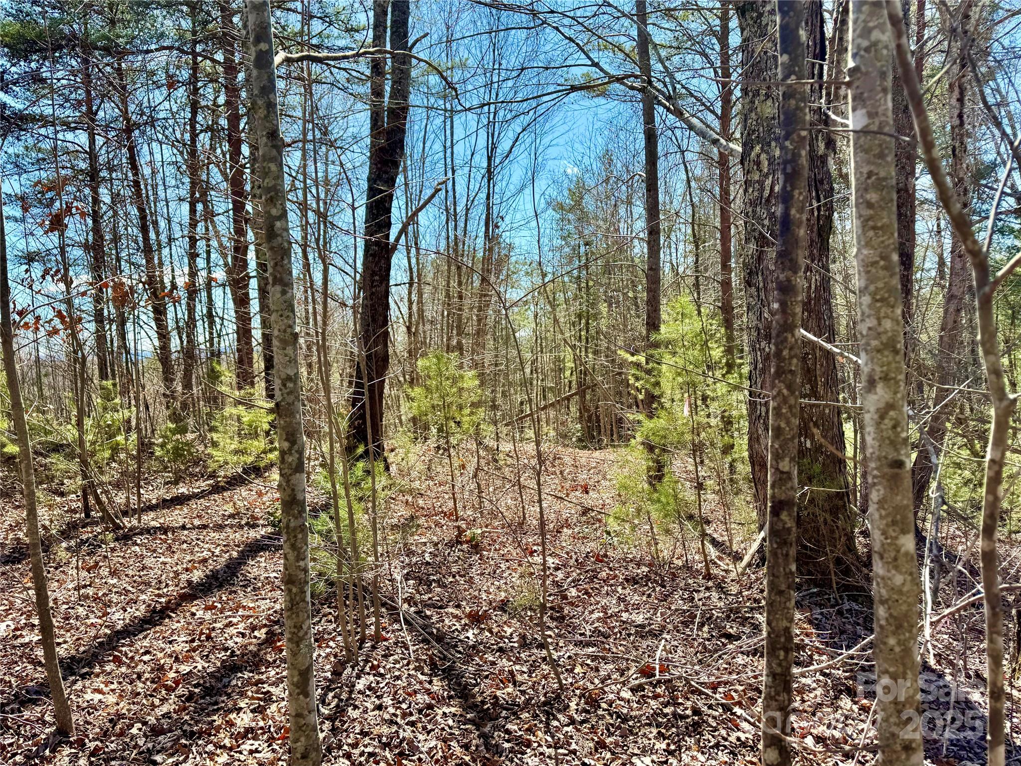 Lot 837 High Valley Way Lot 837 Property Photo 4