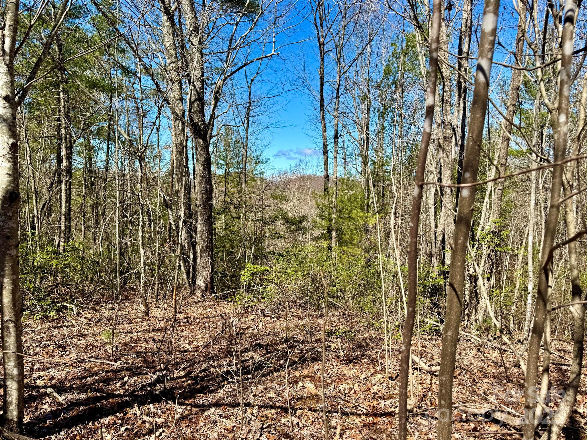 Lot 837 High Valley Way Lot 837 Property Photo 5
