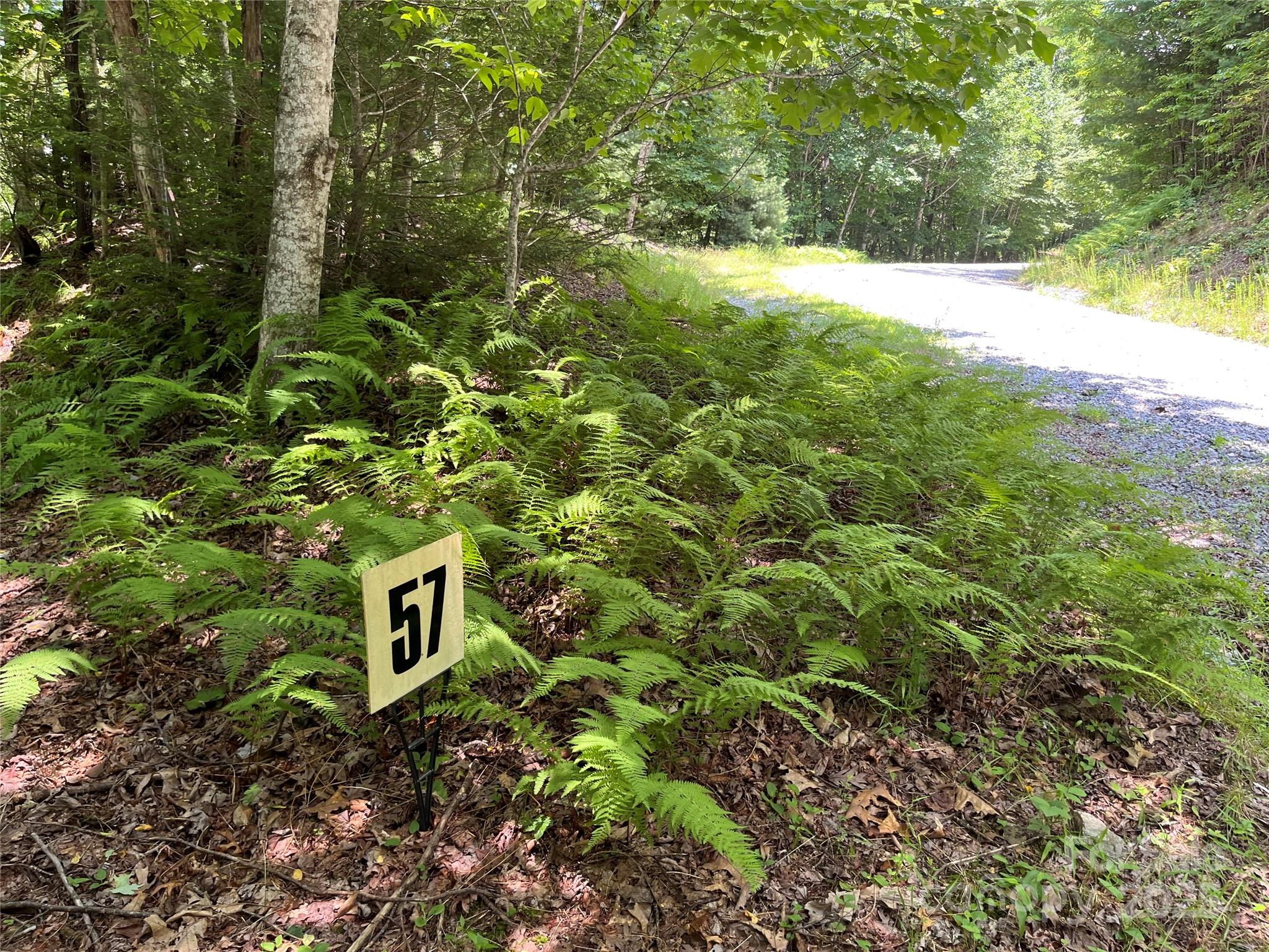 57 Big Branch Road Property Photo 3