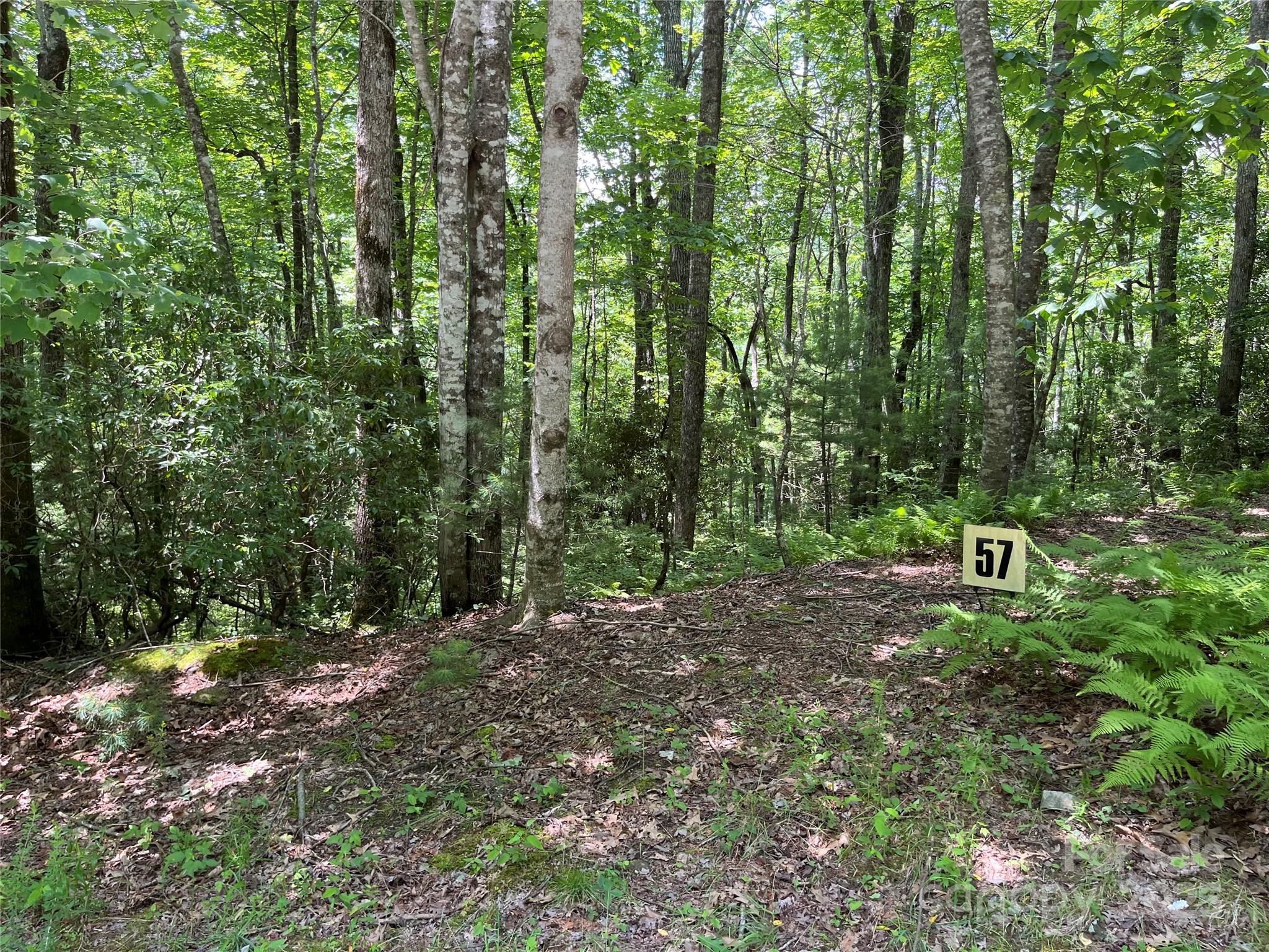 57 Big Branch Road Property Photo 5