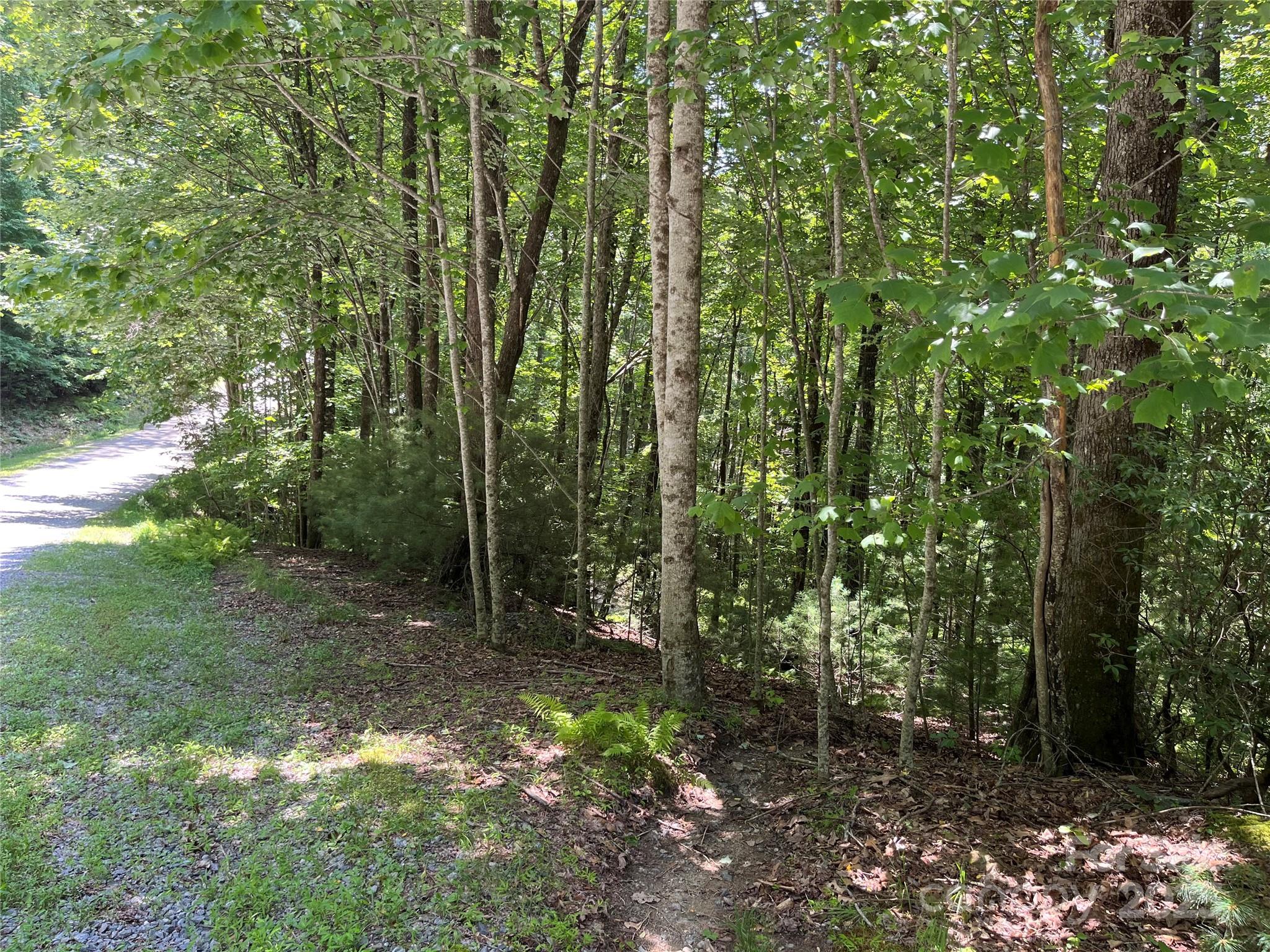 57 Big Branch Road Property Photo 6