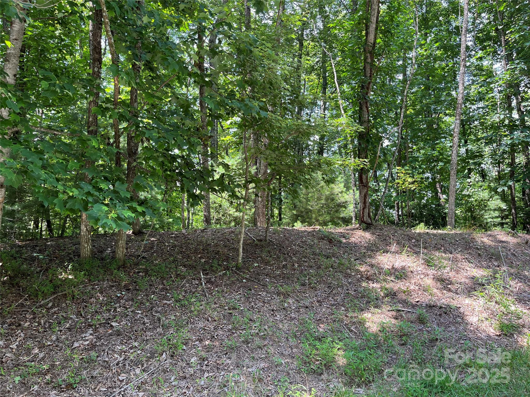 57 Big Branch Road Property Photo 8