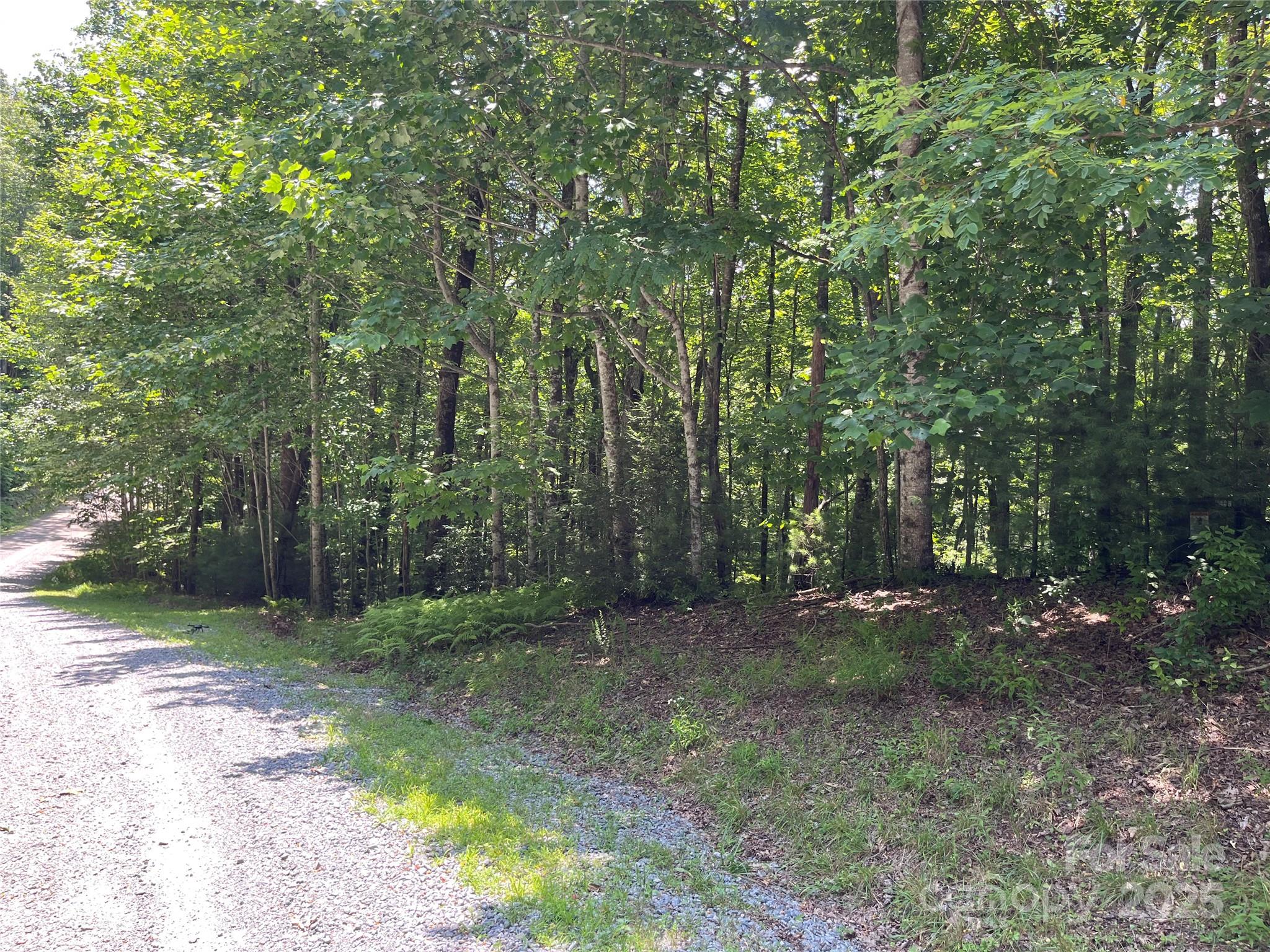 57 Big Branch Road Property Photo 10