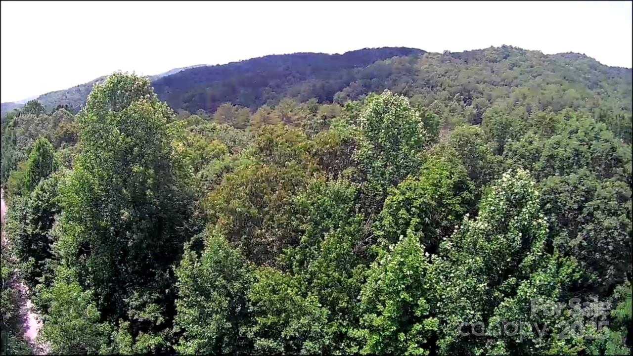 57 Big Branch Road Property Photo 16