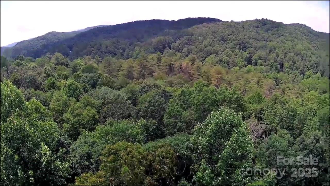 57 Big Branch Road Property Photo 18