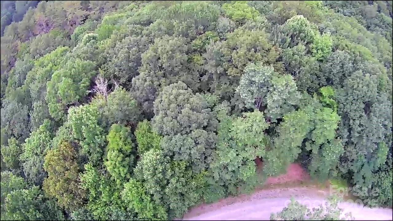 57 Big Branch Road Property Photo 20