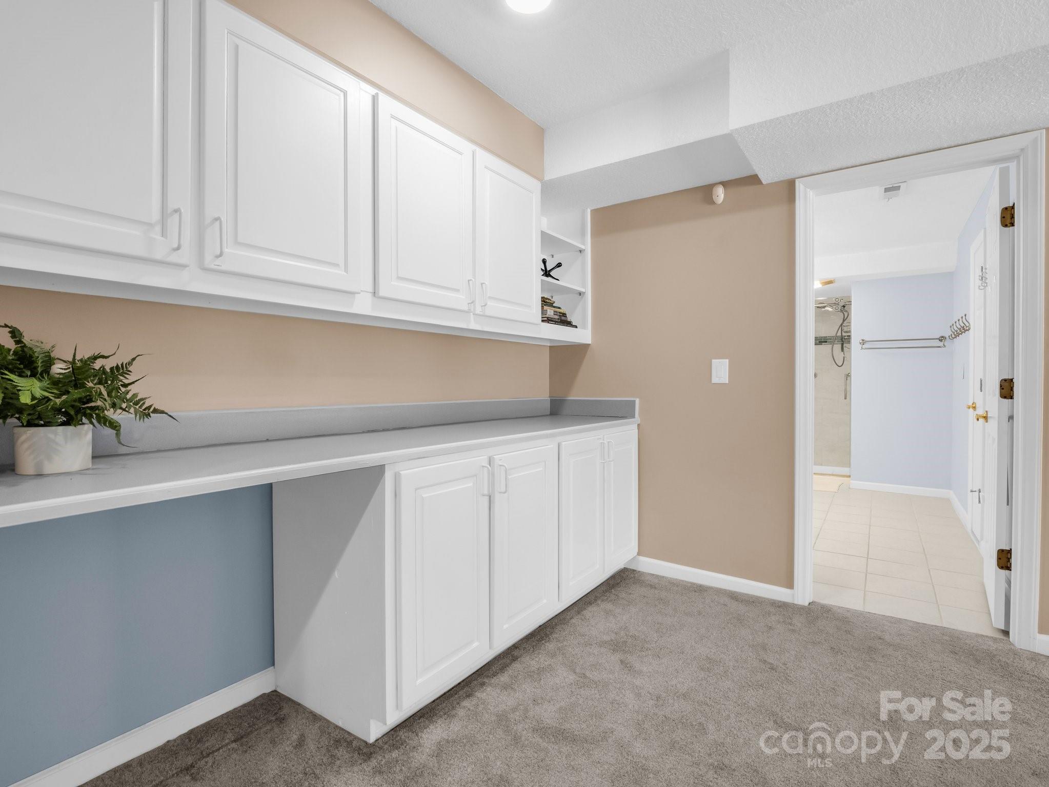 156 Sheepnose Drive Property Photo 32
