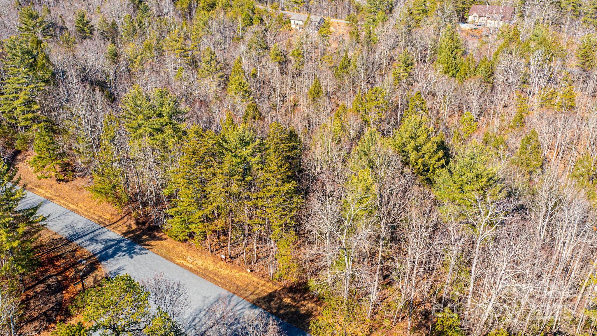 4420 Walnut Ridge Drive Property Photo 8
