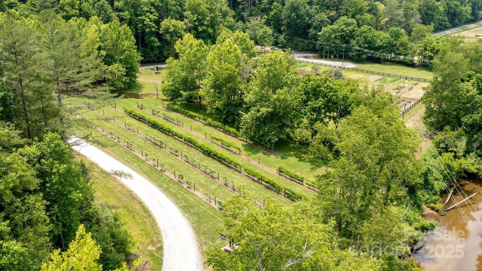4420 Walnut Ridge Drive Property Photo 16