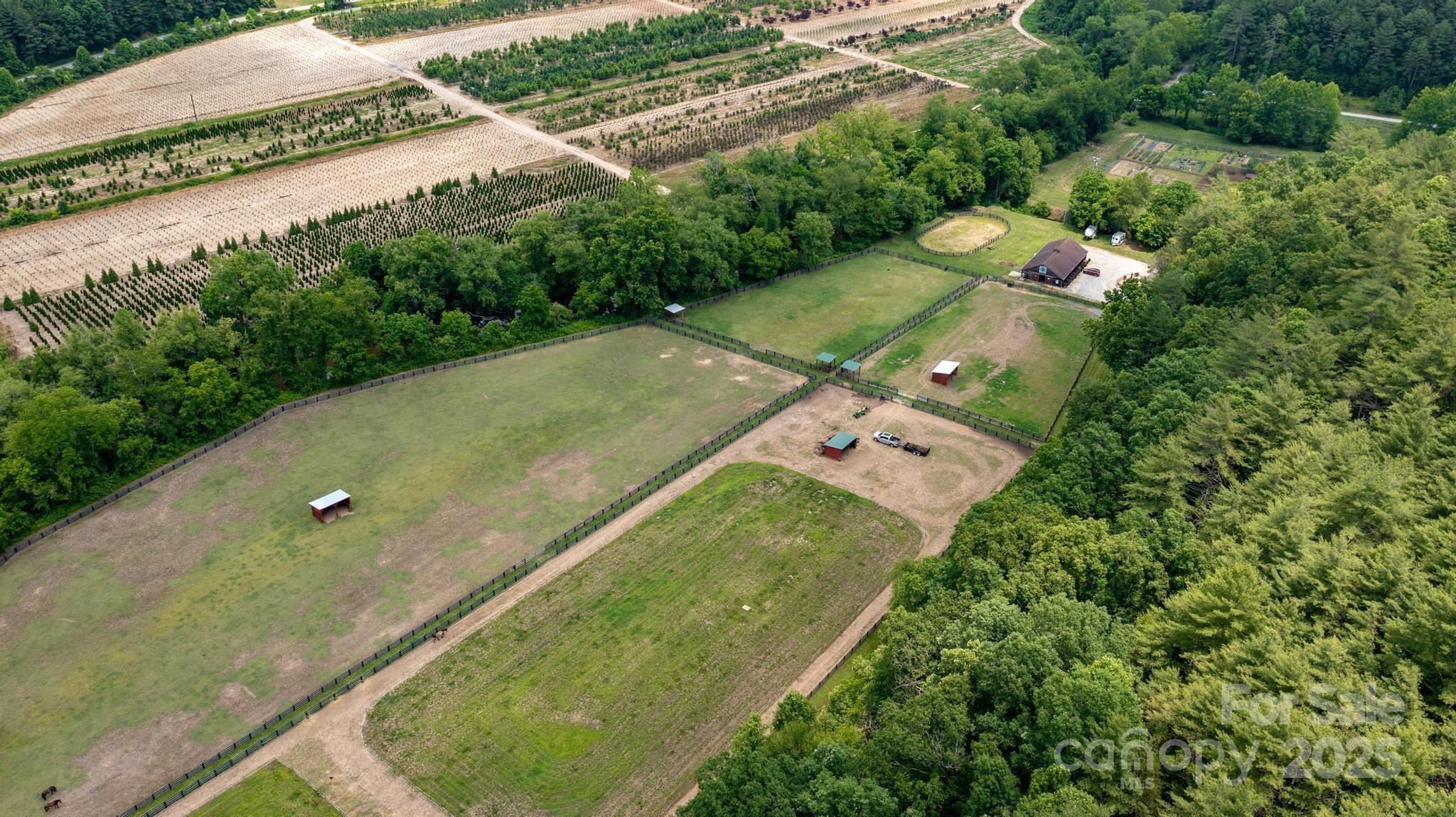4420 Walnut Ridge Drive Property Photo 27