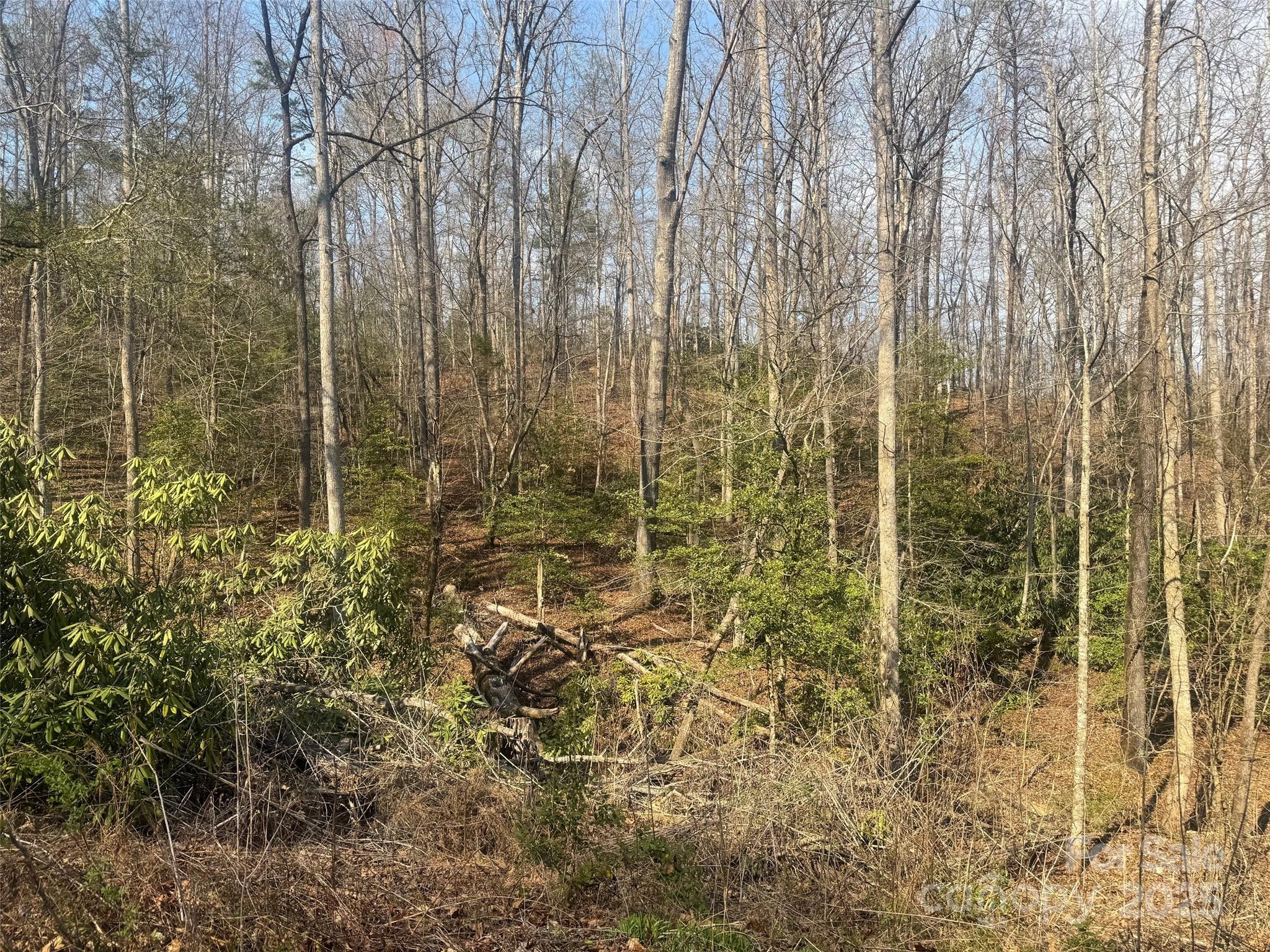 1 High Country Drive 1&2 Property Photo